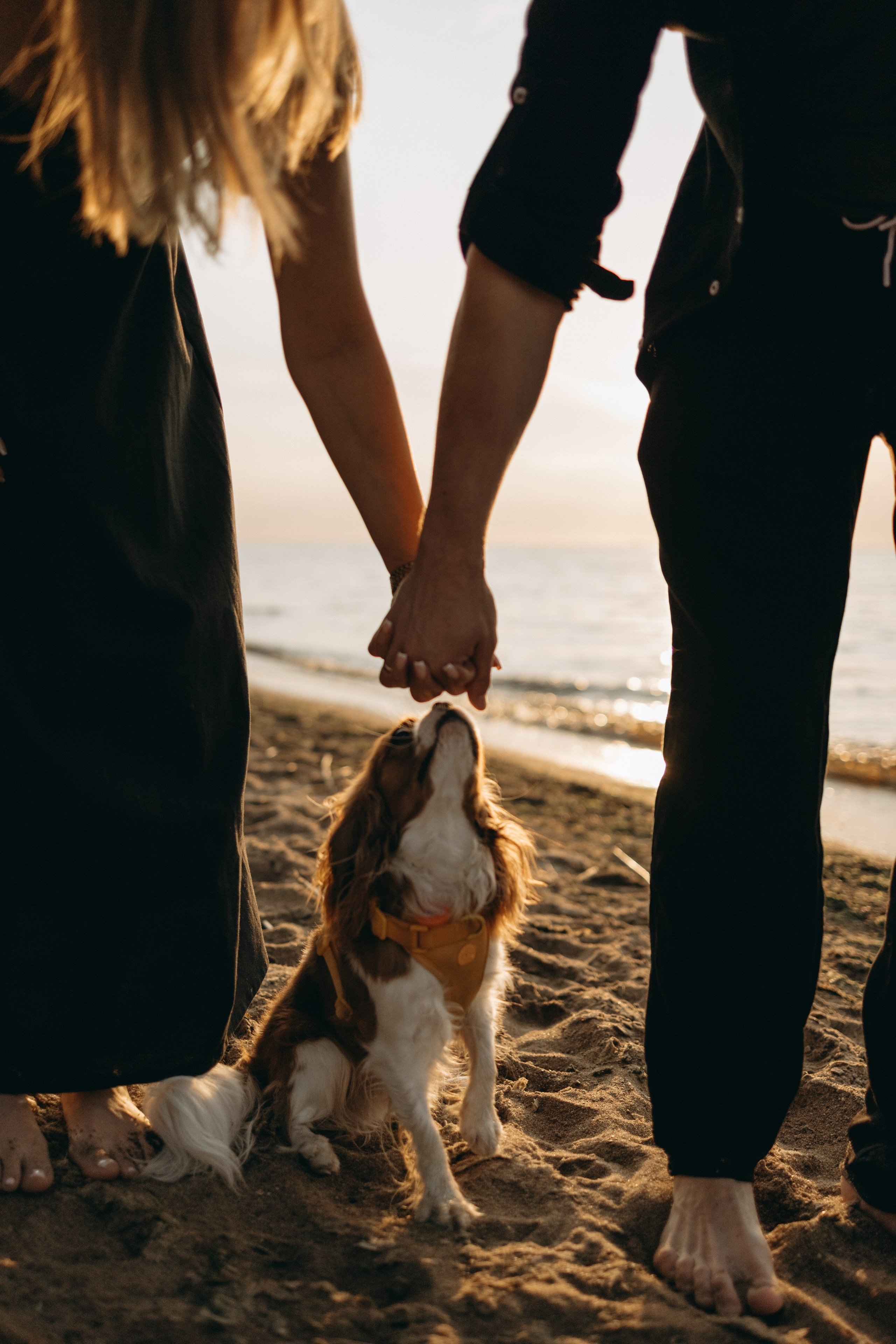 Лу и его семья. Фотограф — Анималист | Санкт-Петербург