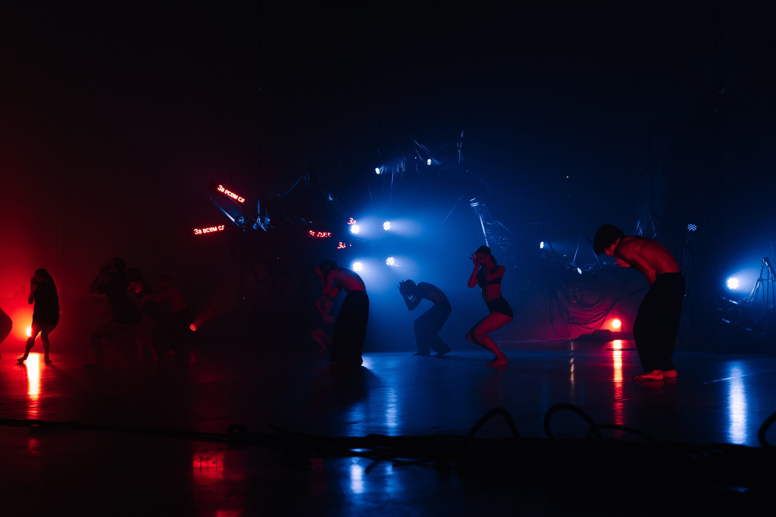 PERFORMA, The Hour of the Horse. @tomrus: Рустам Шагиморданов — фотограф