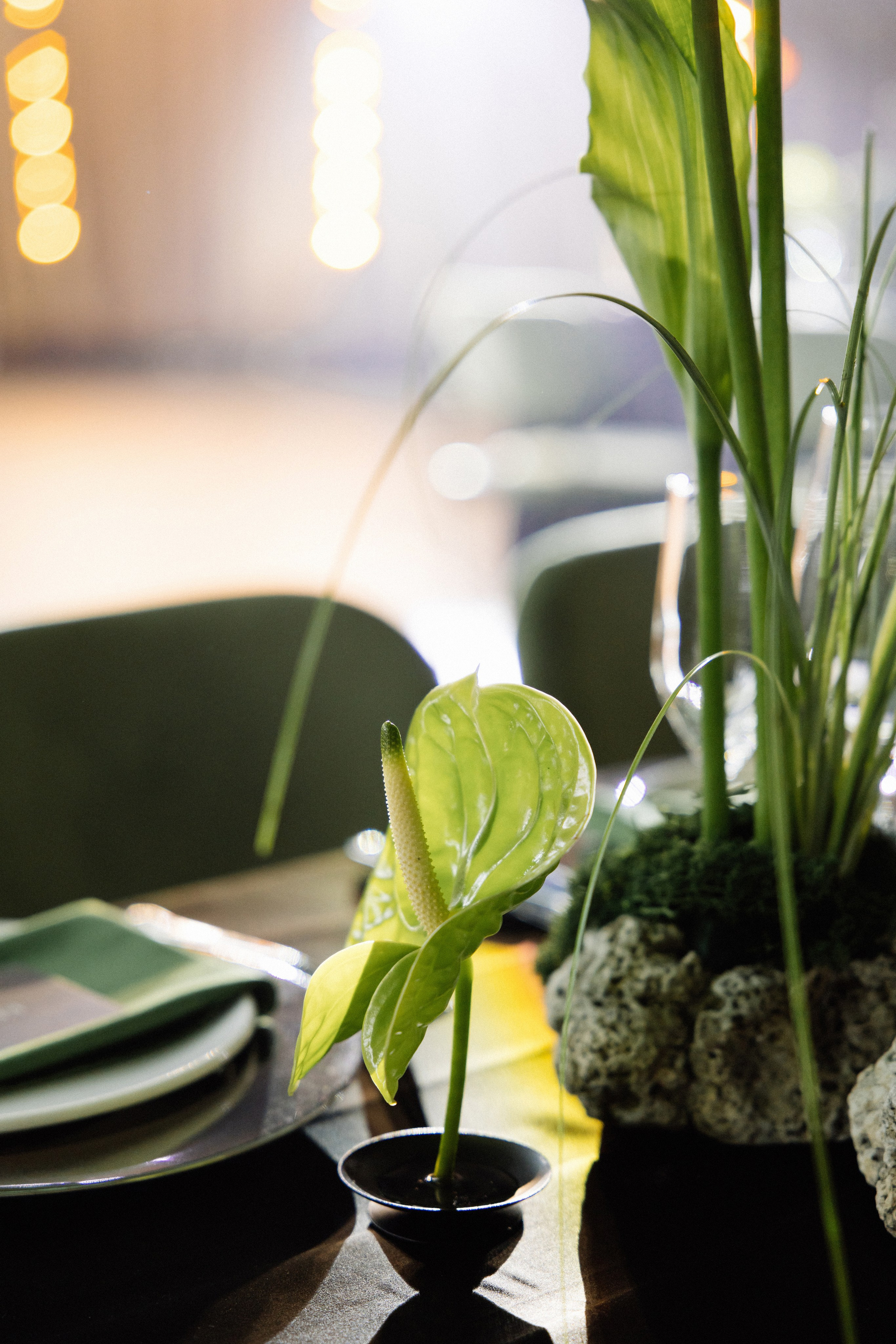 @avtors.agency. Свадебный и репортажный фотограф в Москве Владимир Сергеев | Naysaikolo