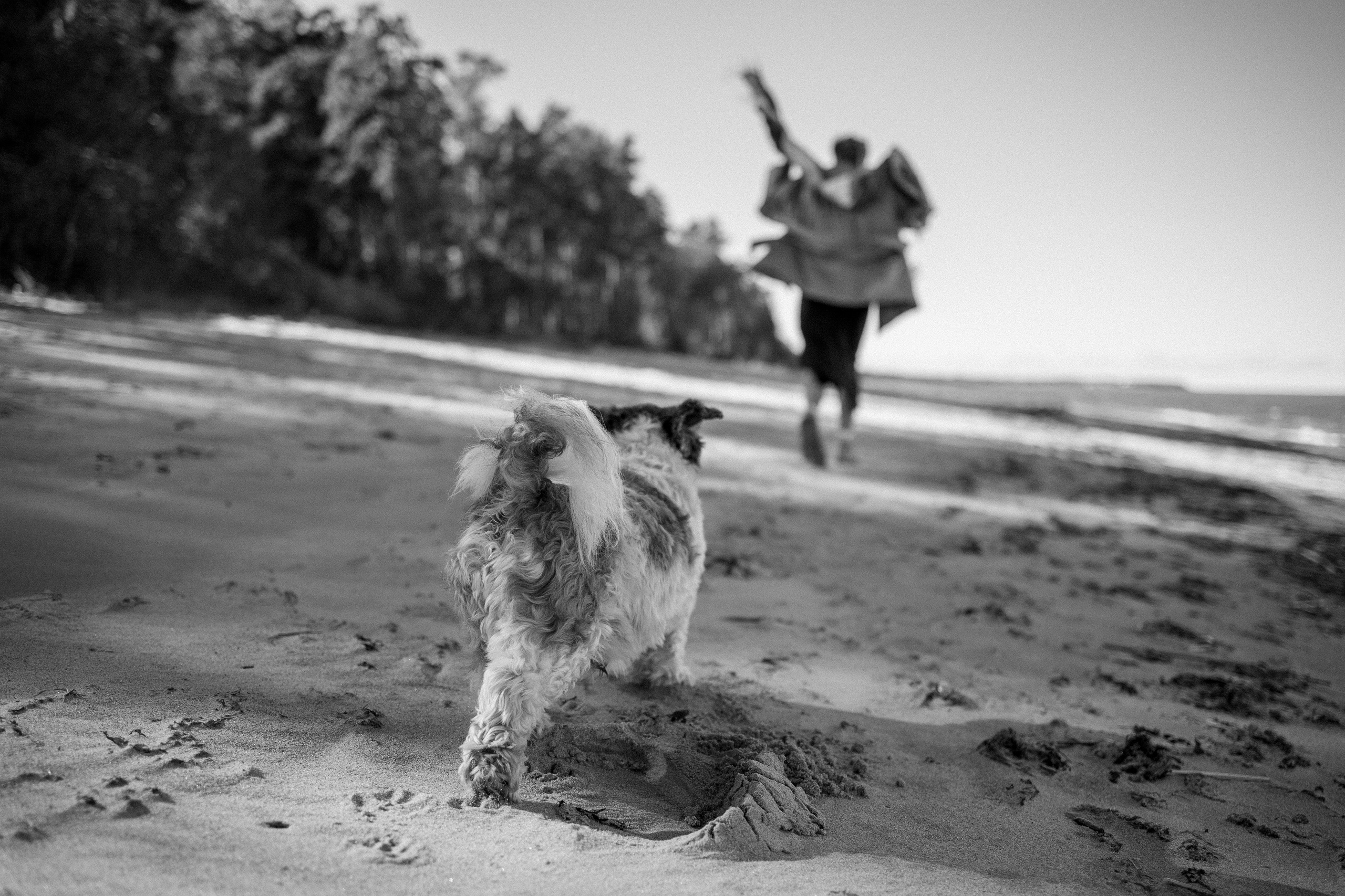 Настя и Франт. Фотограф — Анималист | Санкт-Петербург