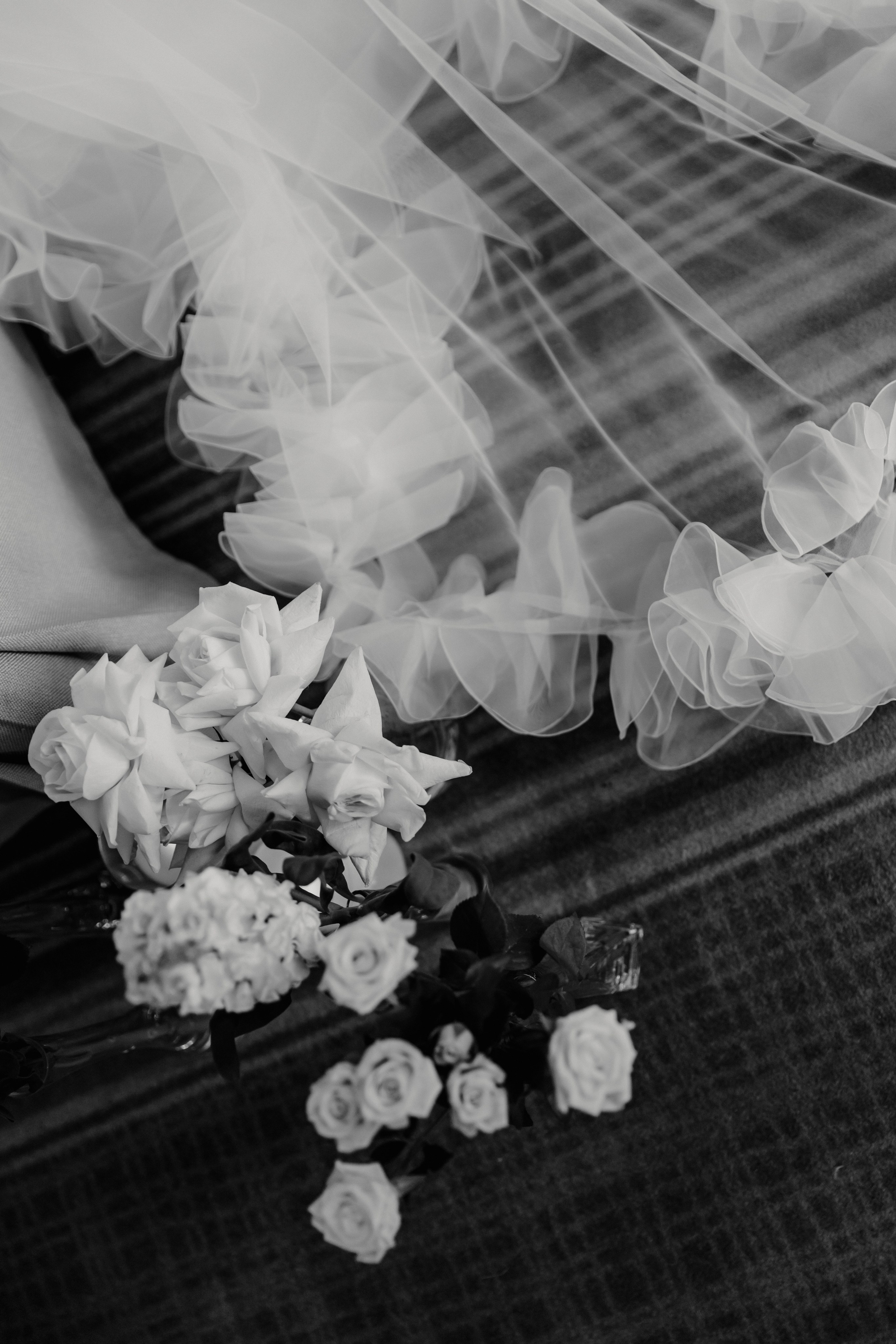 Саша и Миша. Свадебный фотограф и видеограф Когай Дмитрий и Юлия