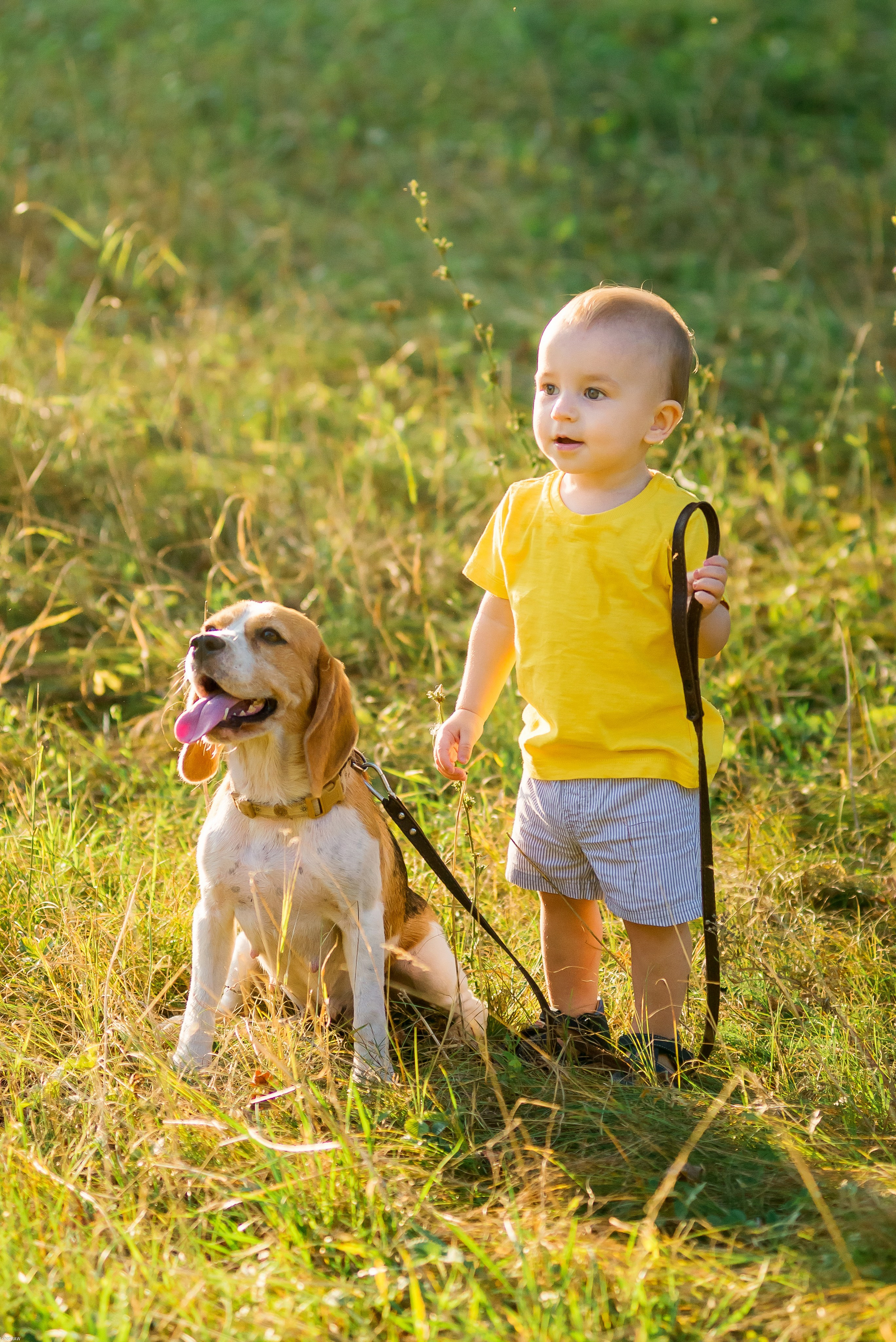 Саша, Наташа и маленький Савва. Свадебный фотограф в Рязани Вагнер Владимир