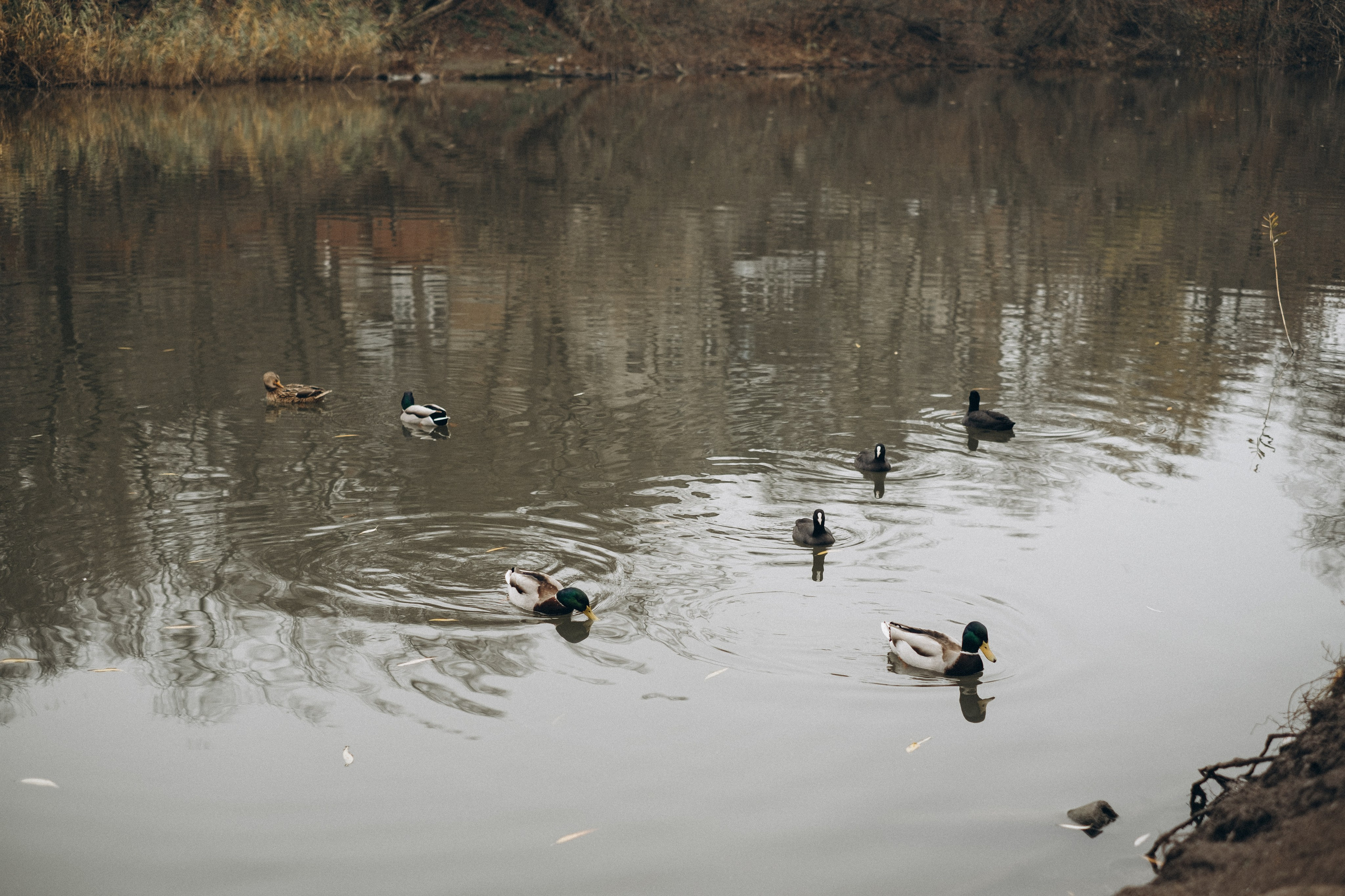 Таня и Ника. Семейный фотограф в Ростове-на-Дону Яна Макаренко