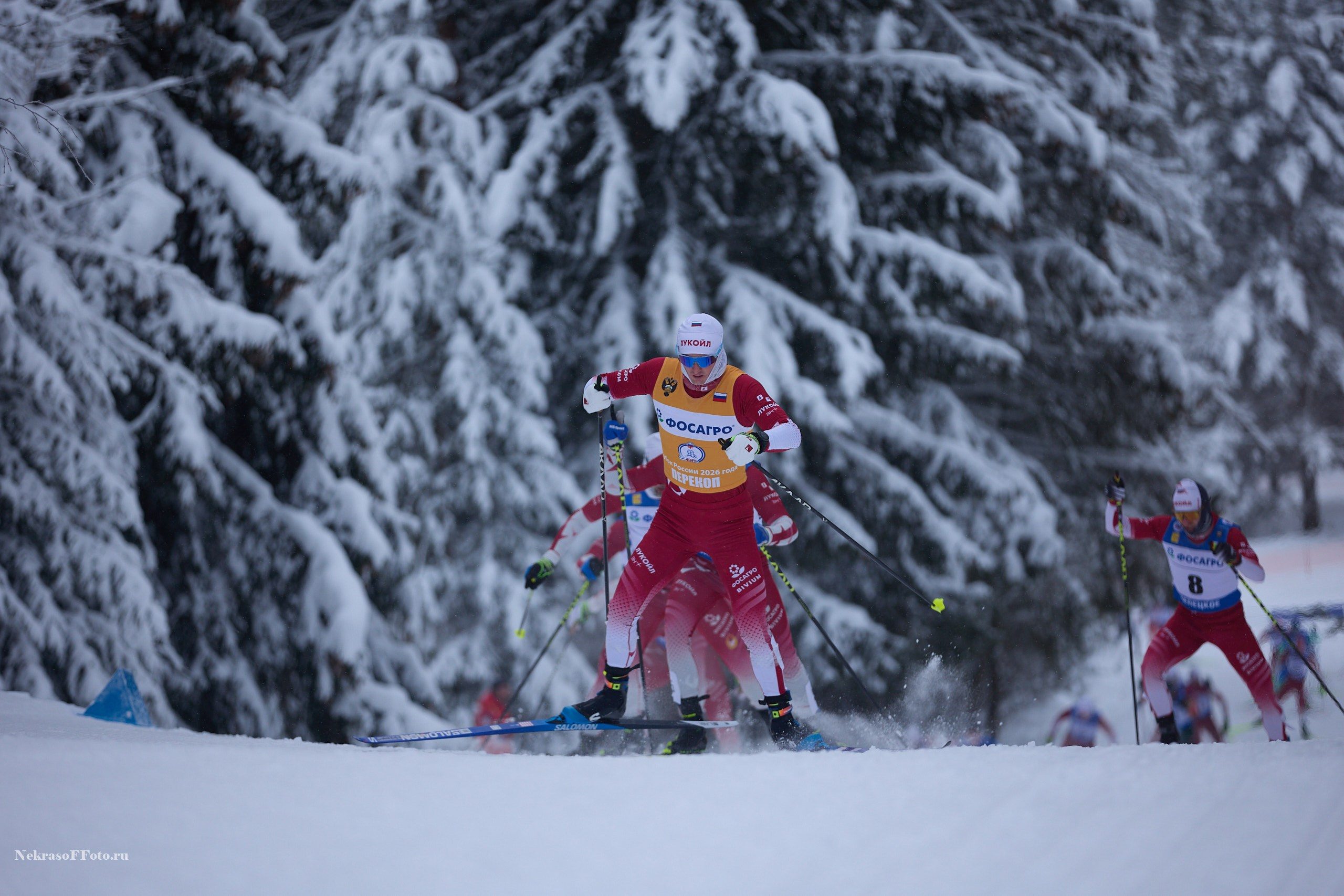 Кубок России по Лыжным гонкам. Спортивный фотограф Некрасов Денис