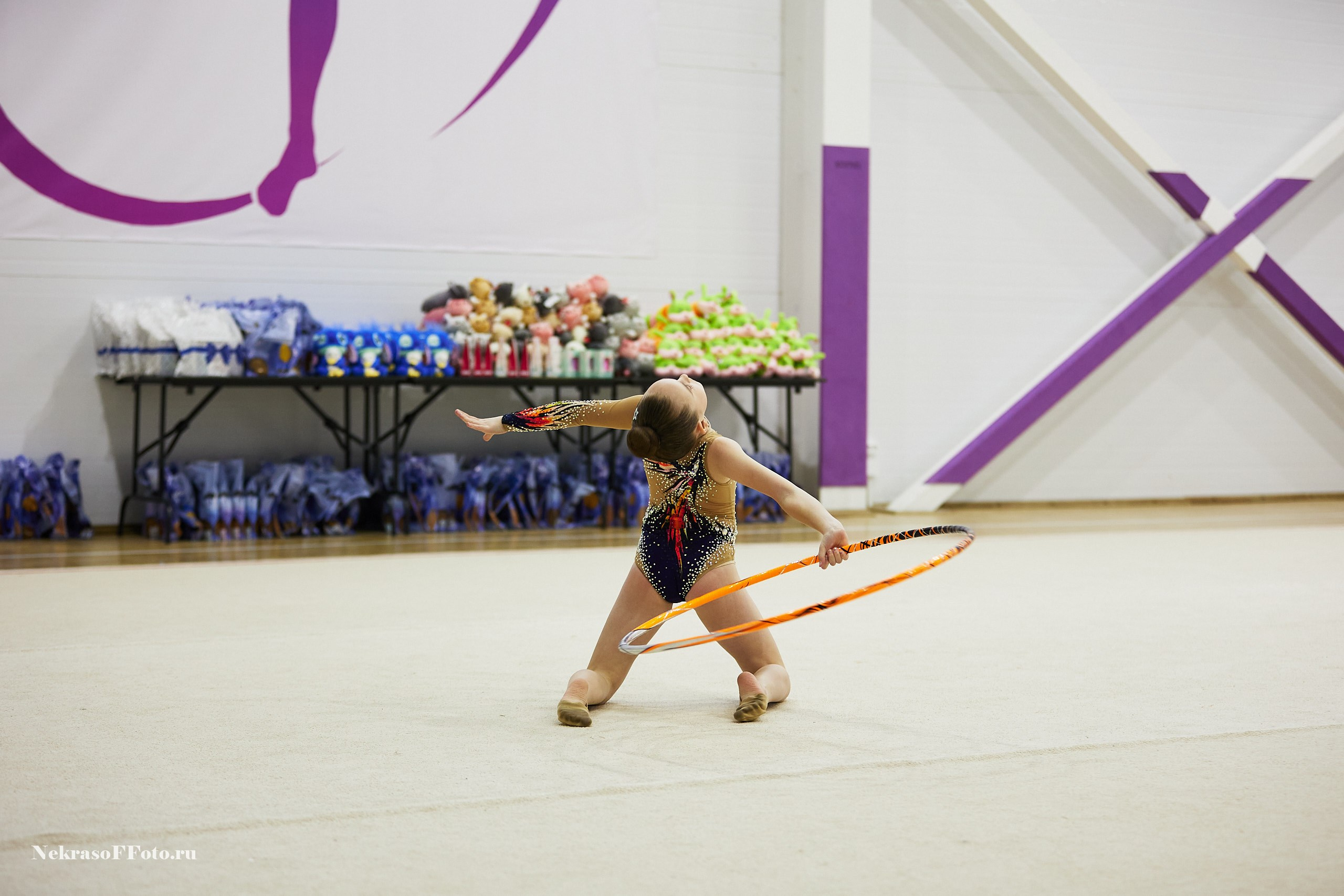 Художественная гимнастика. Спортивный фотограф Некрасов Денис
