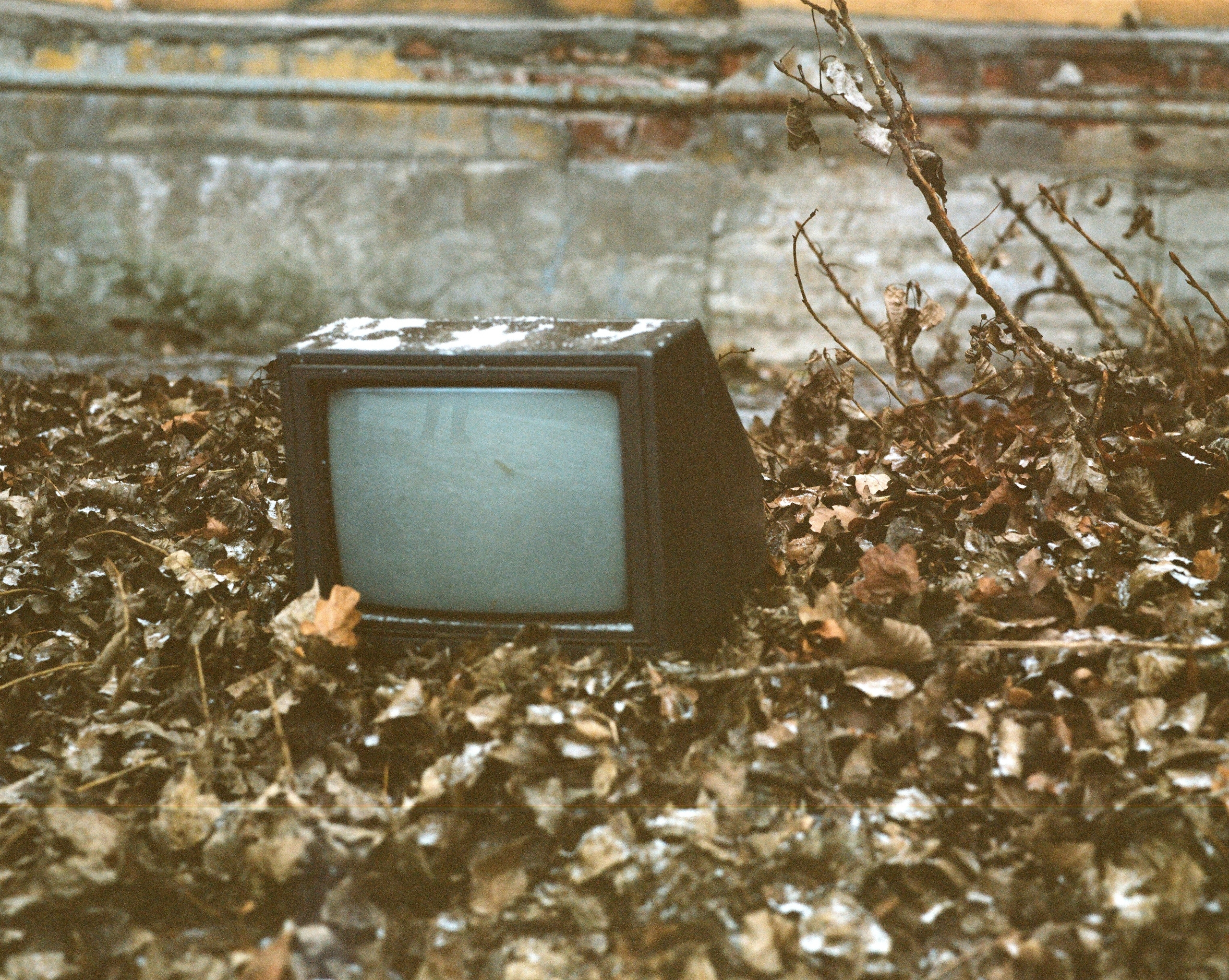 Bermuda triangle. Ekaterina Vasilyeva photographer