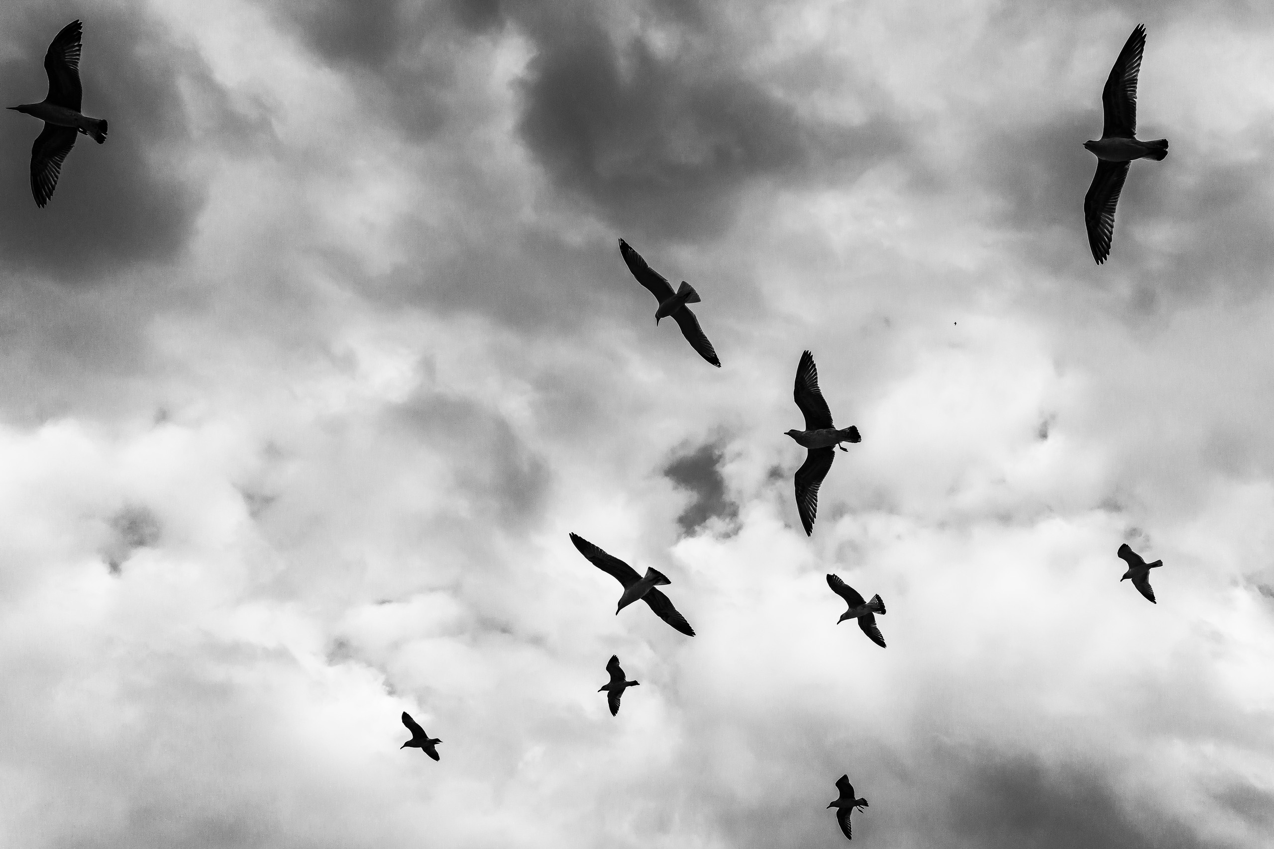 Dimitri Bakhtadze photographer