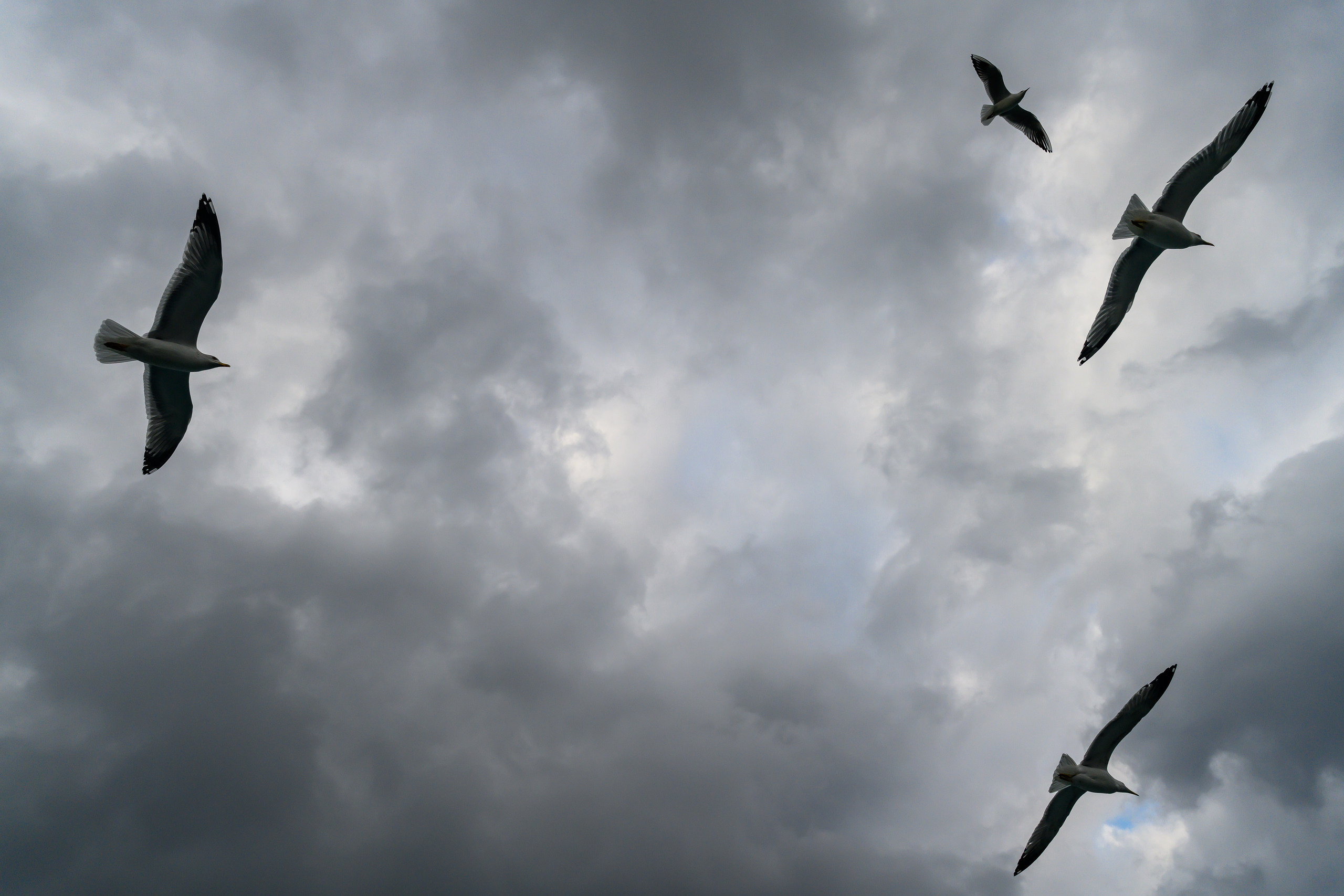 Dimitri Bakhtadze, Istanbul. Dimitri Bakhtadze photographer