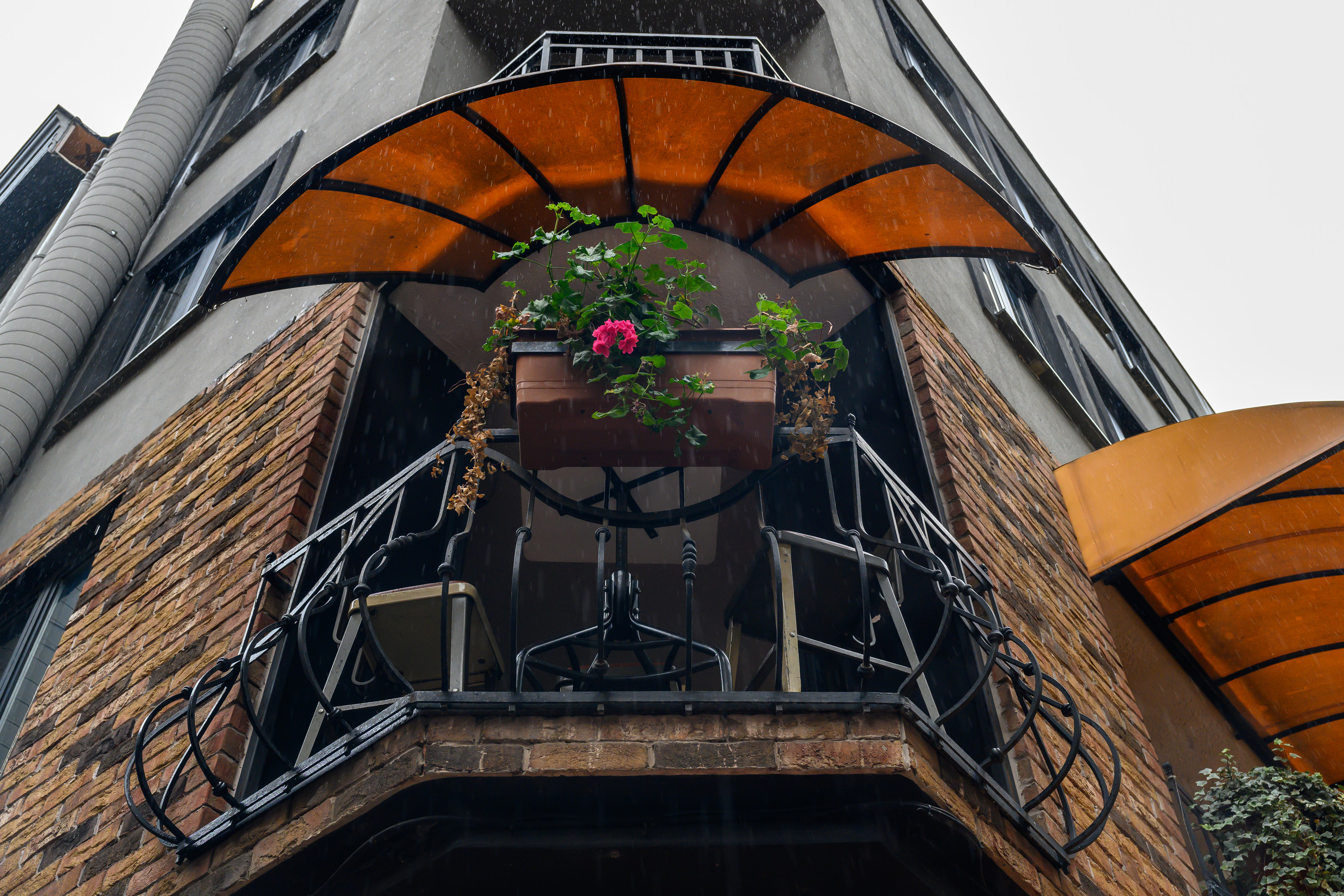 Dimitri Bakhtadze, Istanbul. Dimitri Bakhtadze photographer