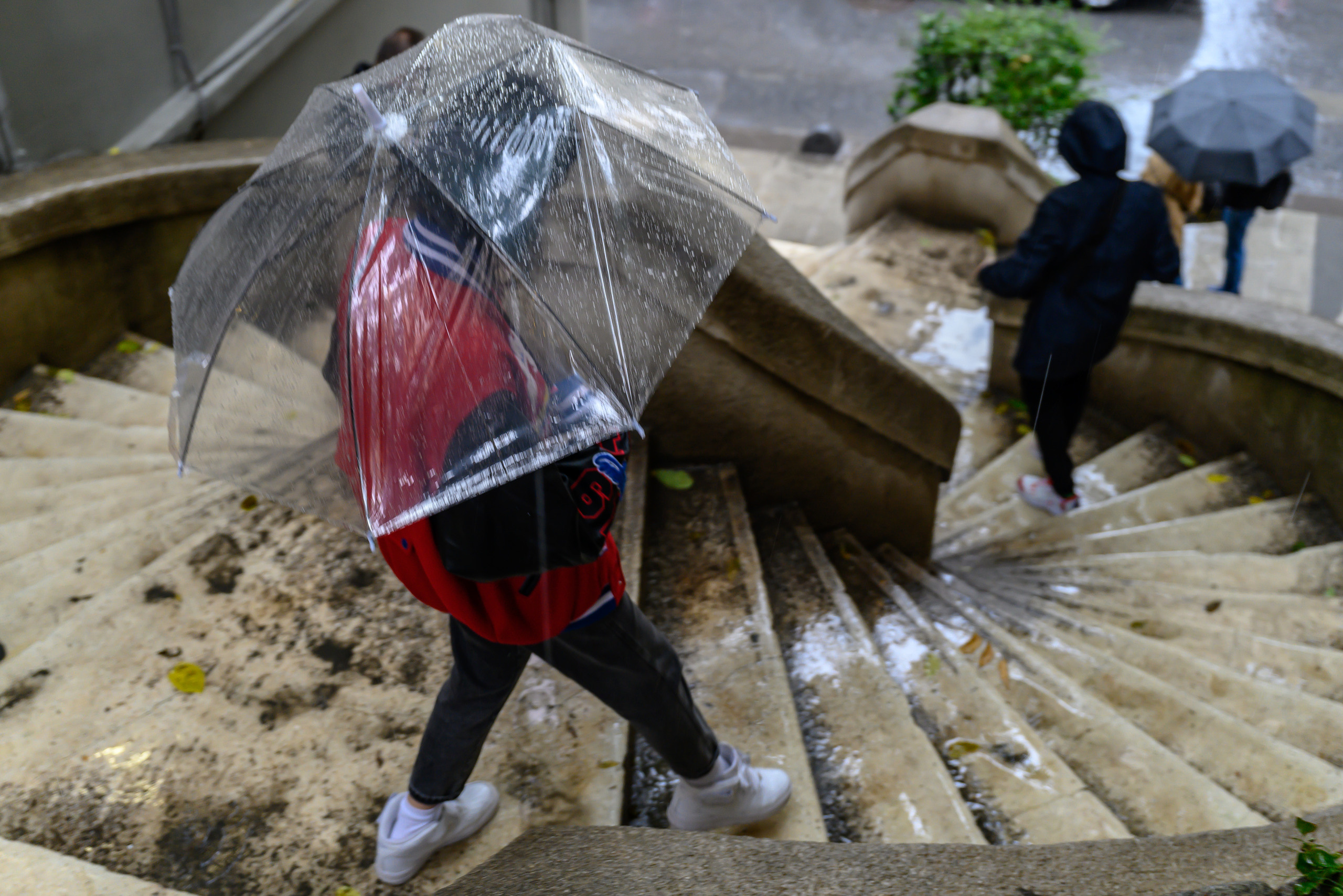 Dimitri Bakhtadze, Istanbul. Dimitri Bakhtadze photographer