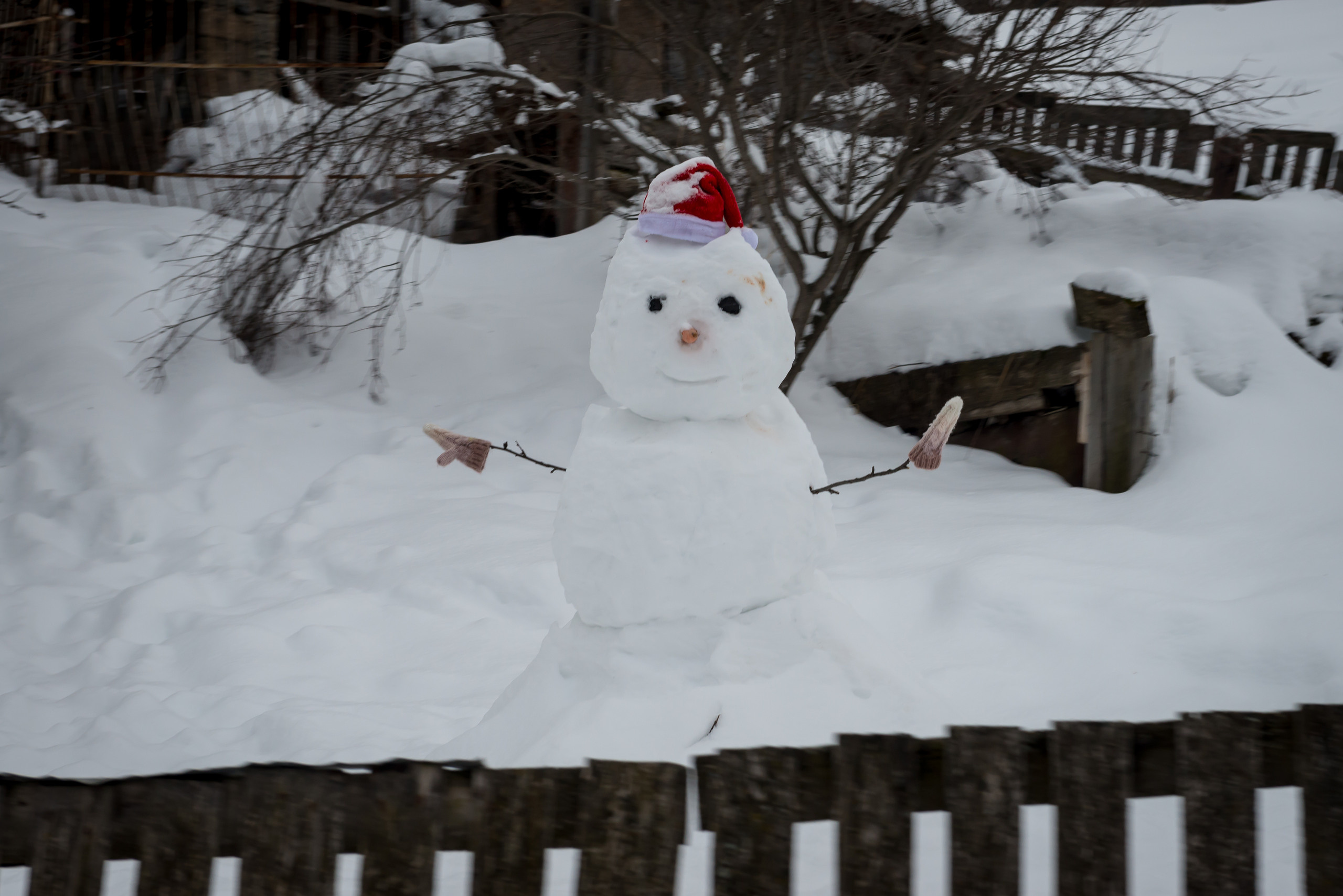 Dimitri Bakhtadze, borjomirailway. Dimitri Bakhtadze photographer