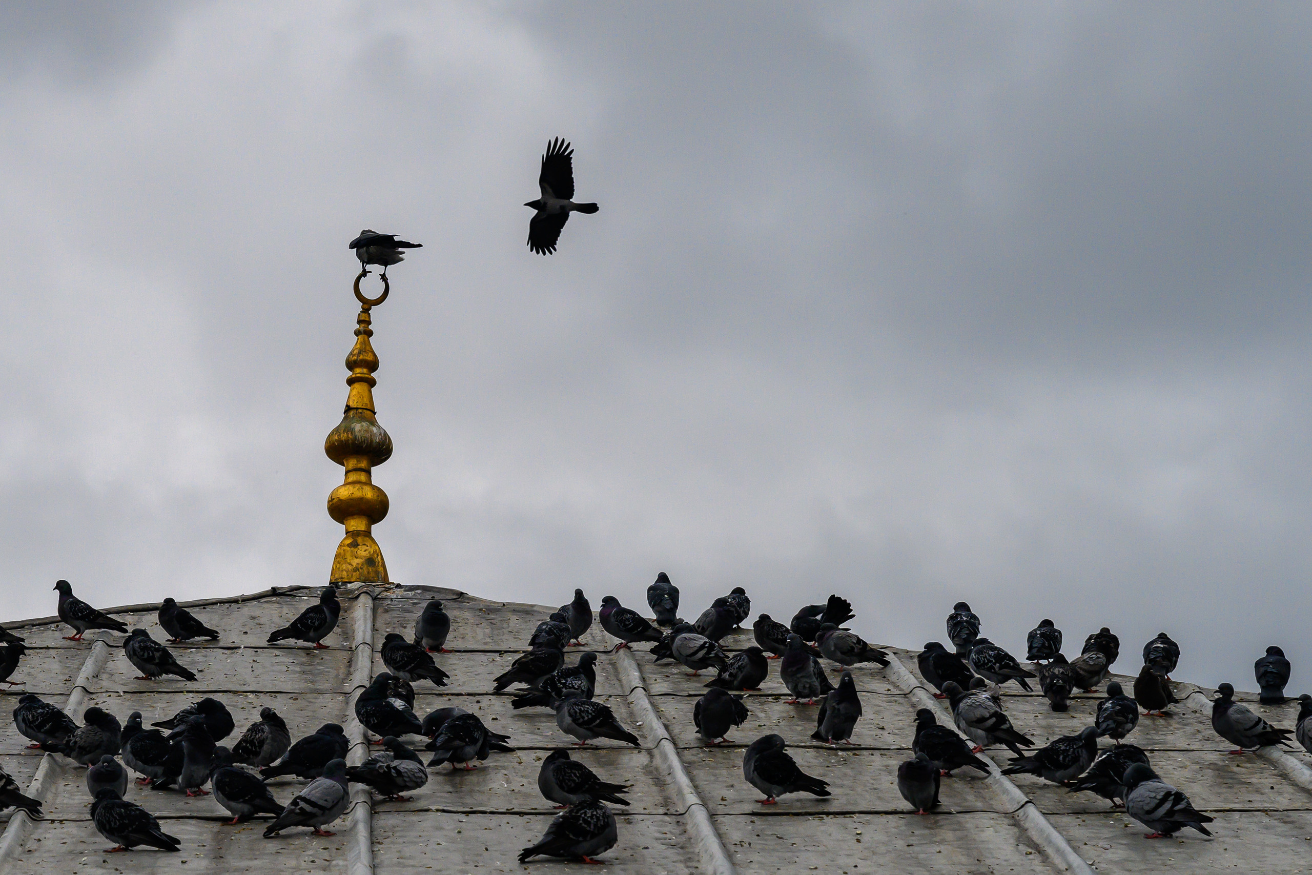 Dimitri Bakhtadze, Istanbul. Dimitri Bakhtadze photographer