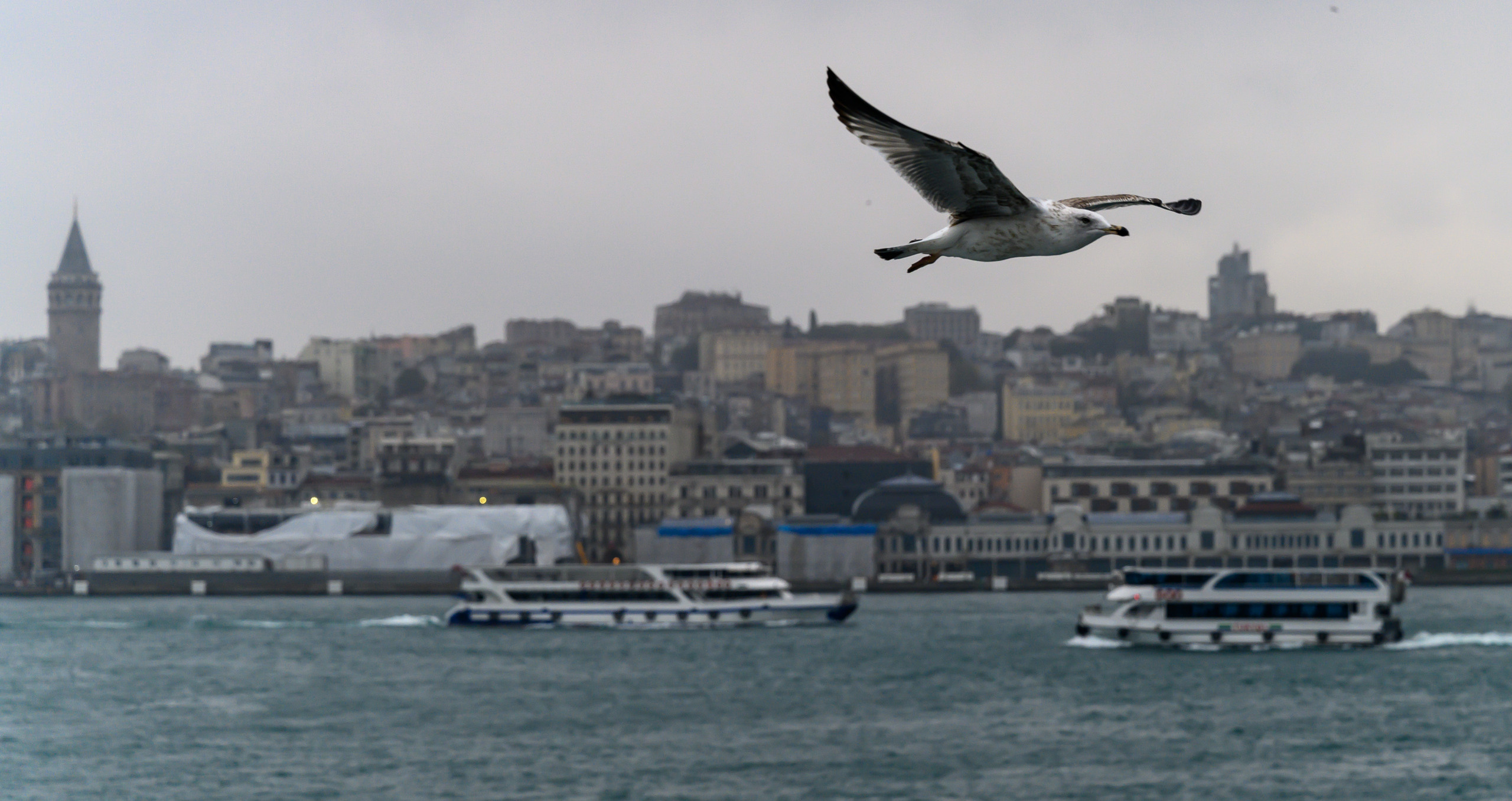 Dimitri Bakhtadze, Istanbul. Dimitri Bakhtadze photographer