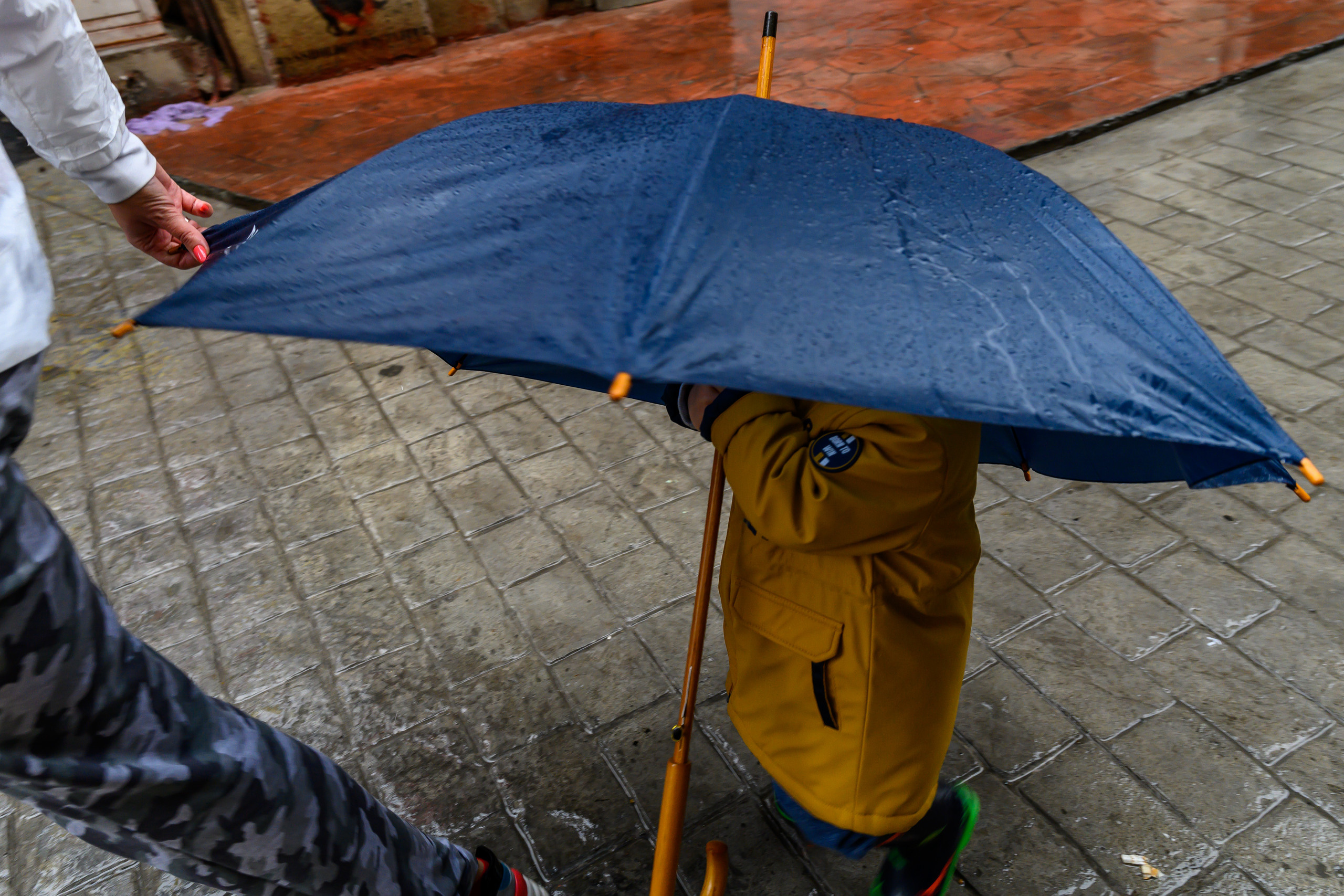 Dimitri Bakhtadze, Istanbul. Dimitri Bakhtadze photographer