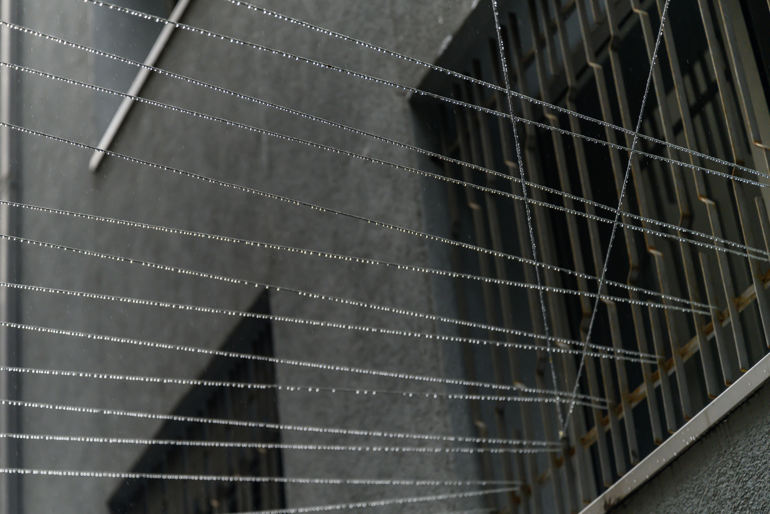 Dimitri Bakhtadze, Istanbul. Dimitri Bakhtadze photographer