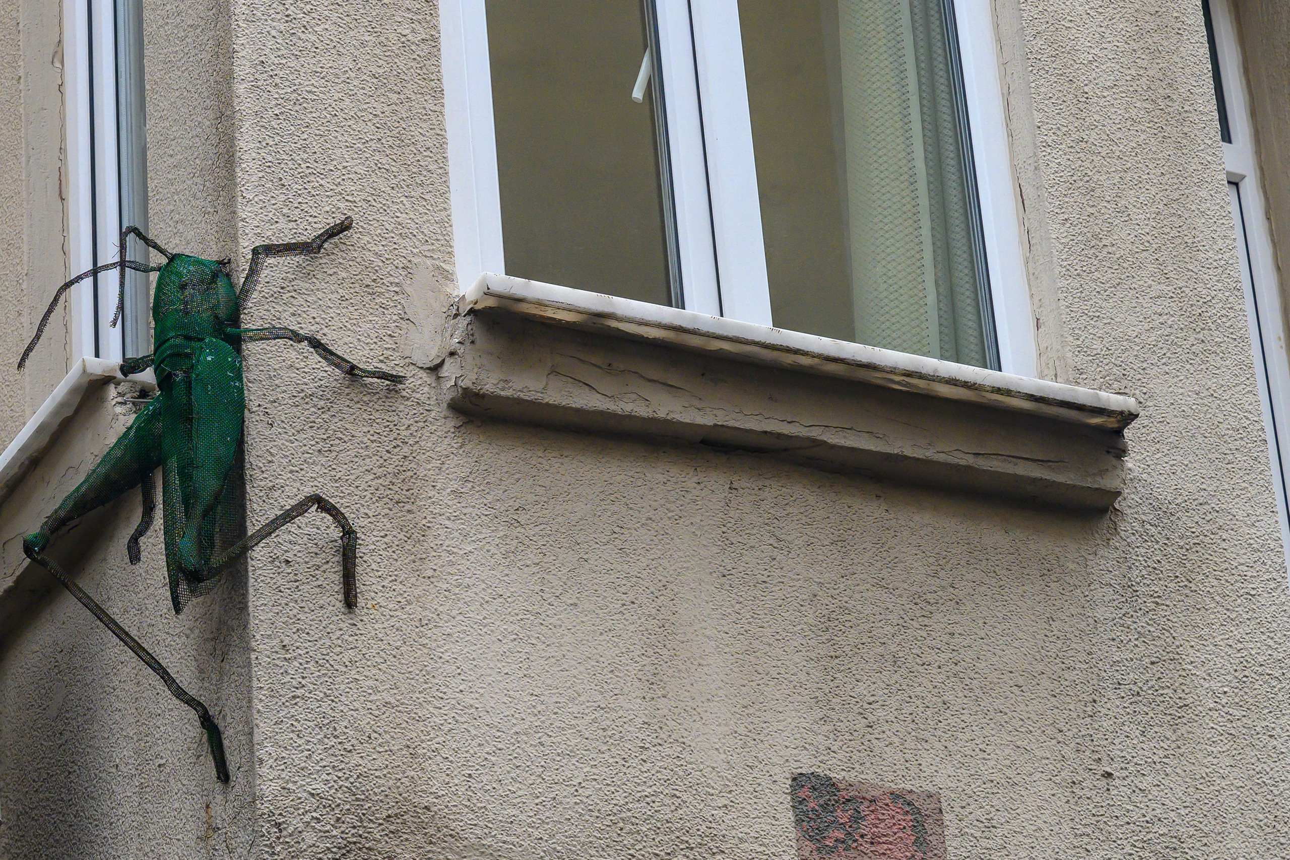 Dimitri Bakhtadze, Istanbul. Dimitri Bakhtadze photographer