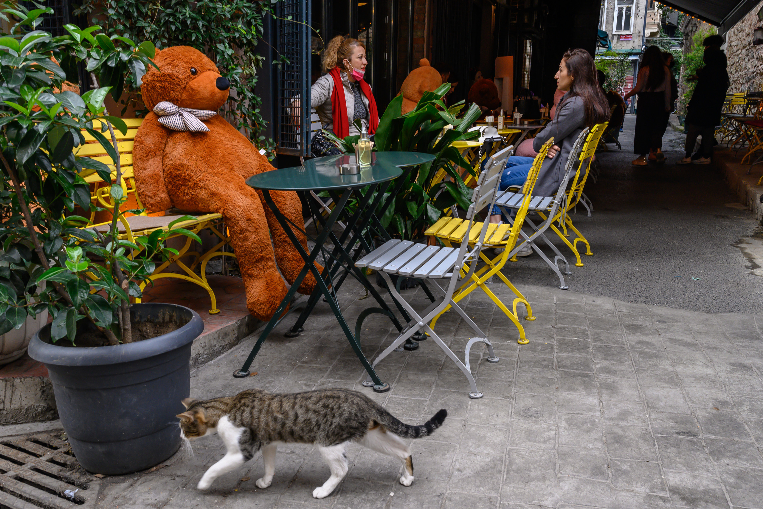Dimitri Bakhtadze, Istanbul. Dimitri Bakhtadze photographer