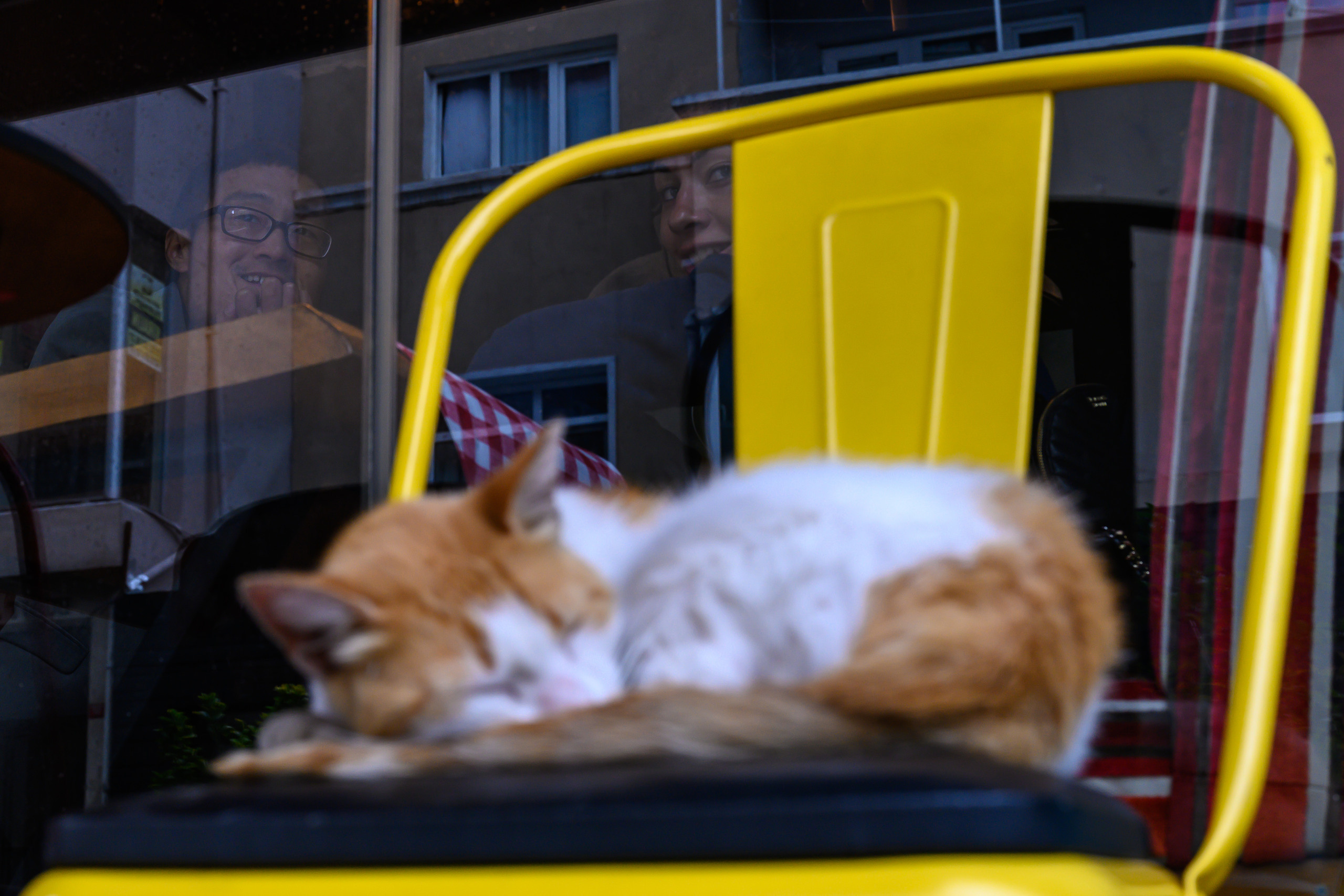 Dimitri Bakhtadze, Istanbul. Dimitri Bakhtadze photographer