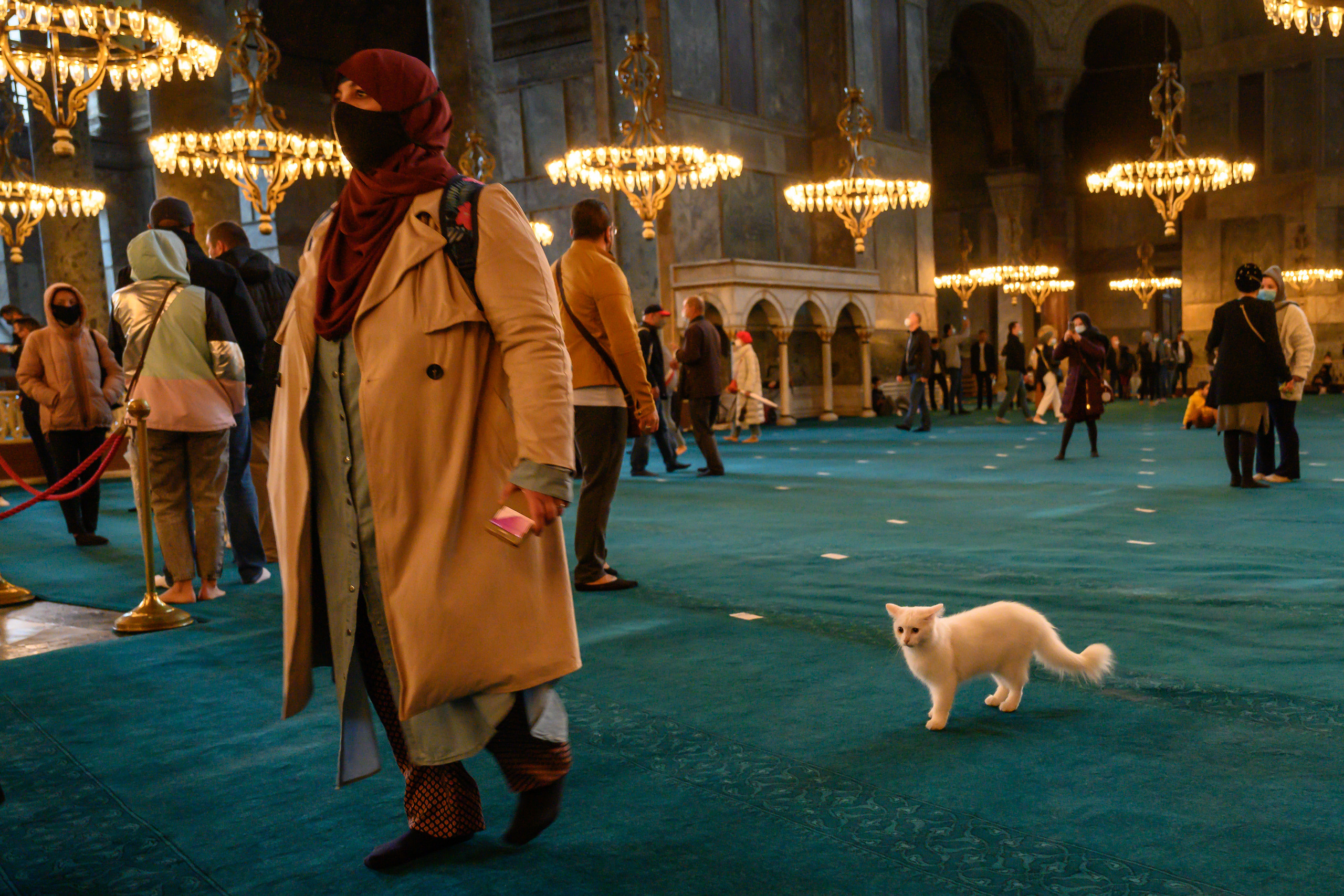 Dimitri Bakhtadze, Istanbul. Dimitri Bakhtadze photographer