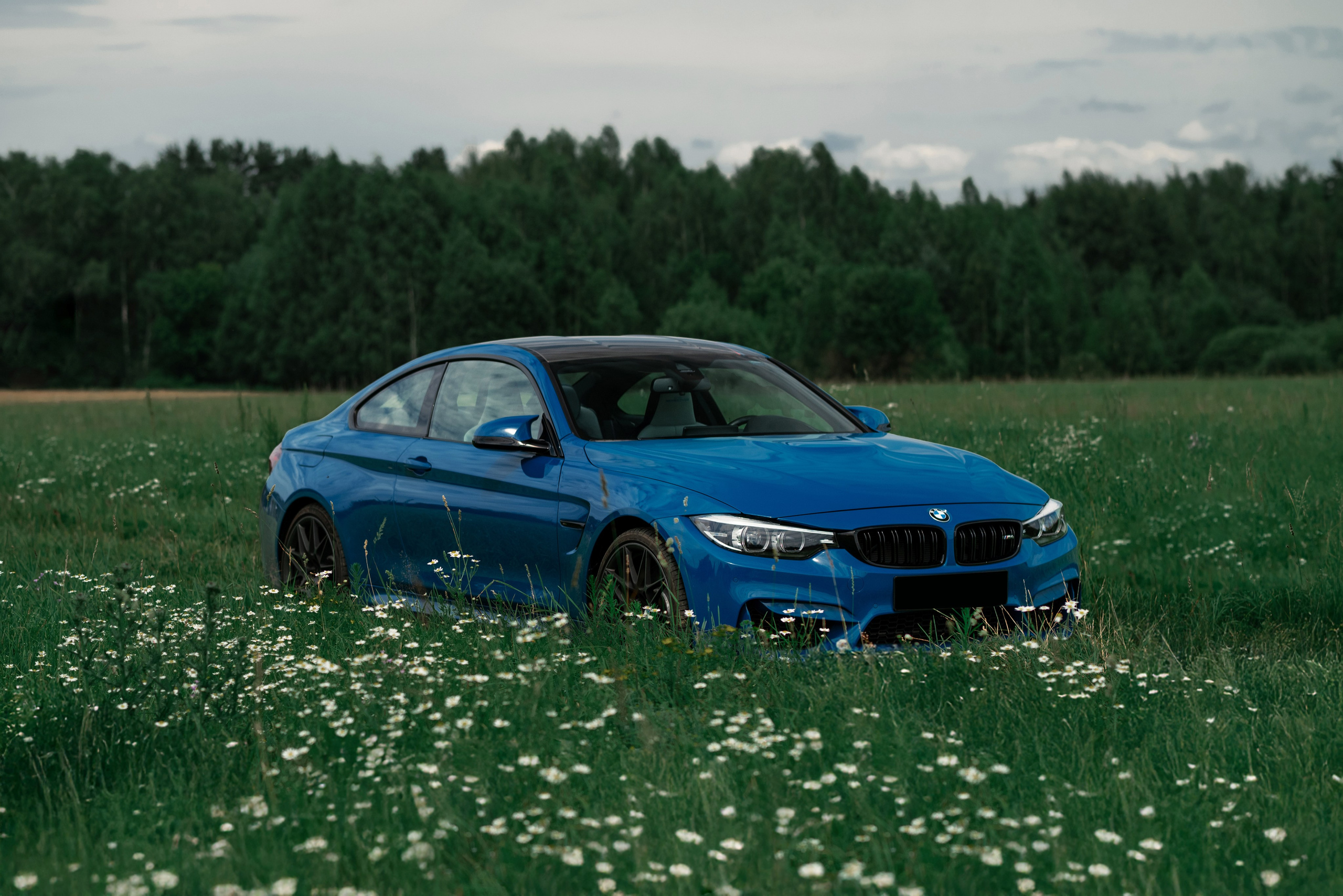 Bmw M4 Heritage Edition 1/750. DeLorein