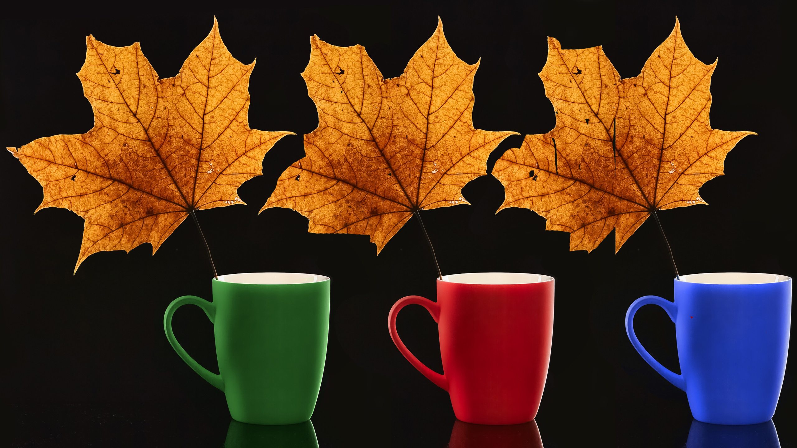 Натюрморт. Пейзажный и семейный фотограф в Санкт-Петербурге Александр Белов