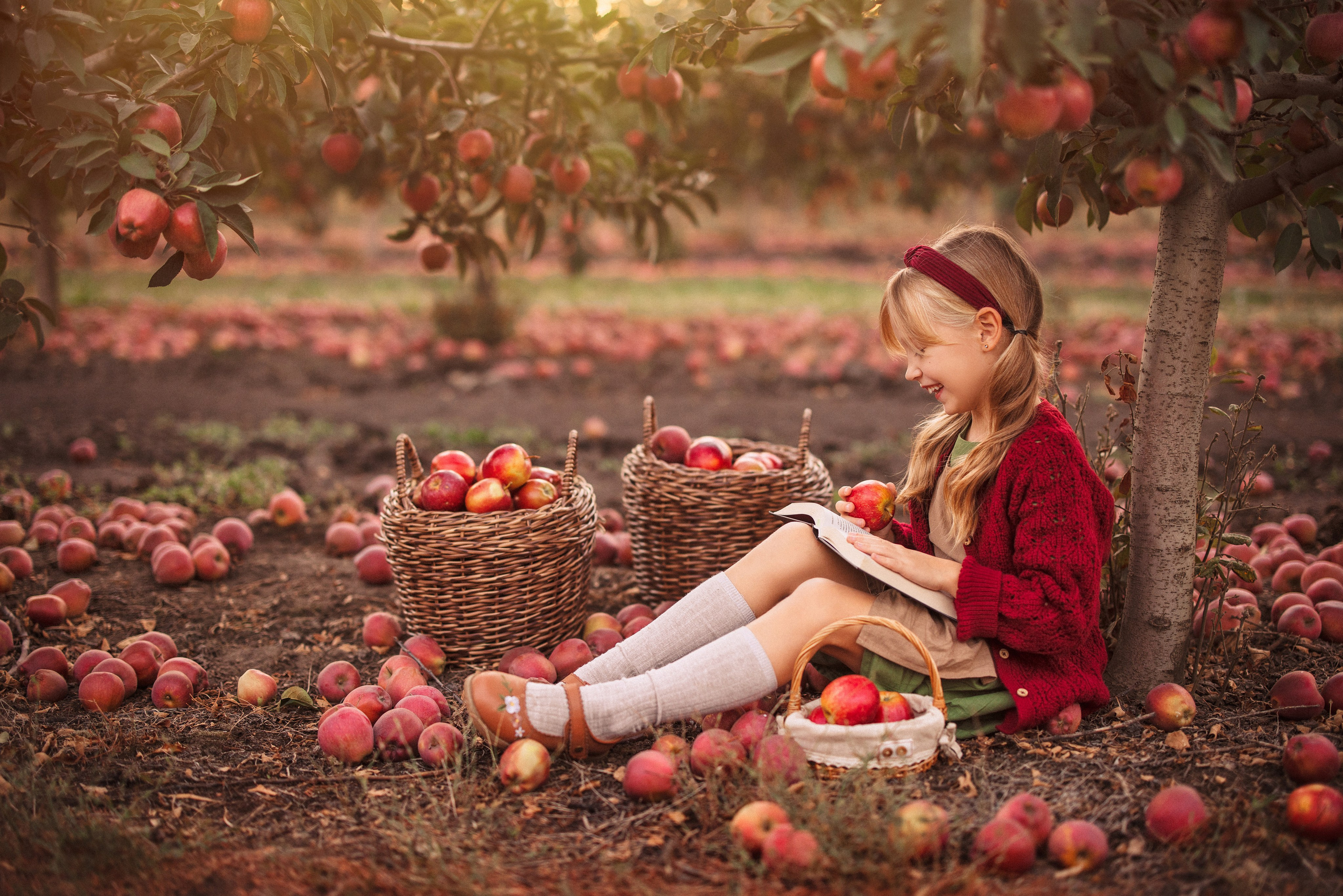Сбор урожая Яблок. Семейный и детский фотограф в Краснодаре Анна Трашкова