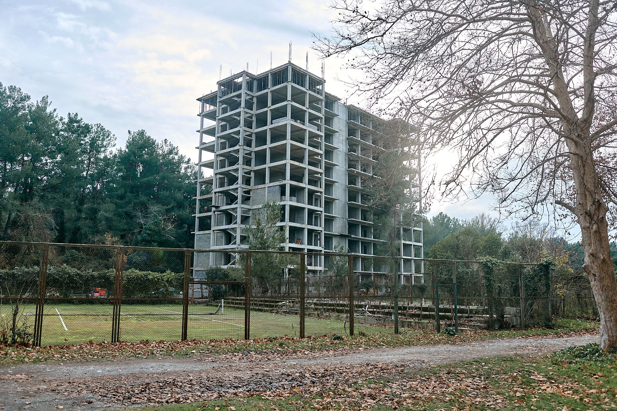 Пицунда, Абхазия. Декабрь 2024. Фотографии отовсюду и обо всем