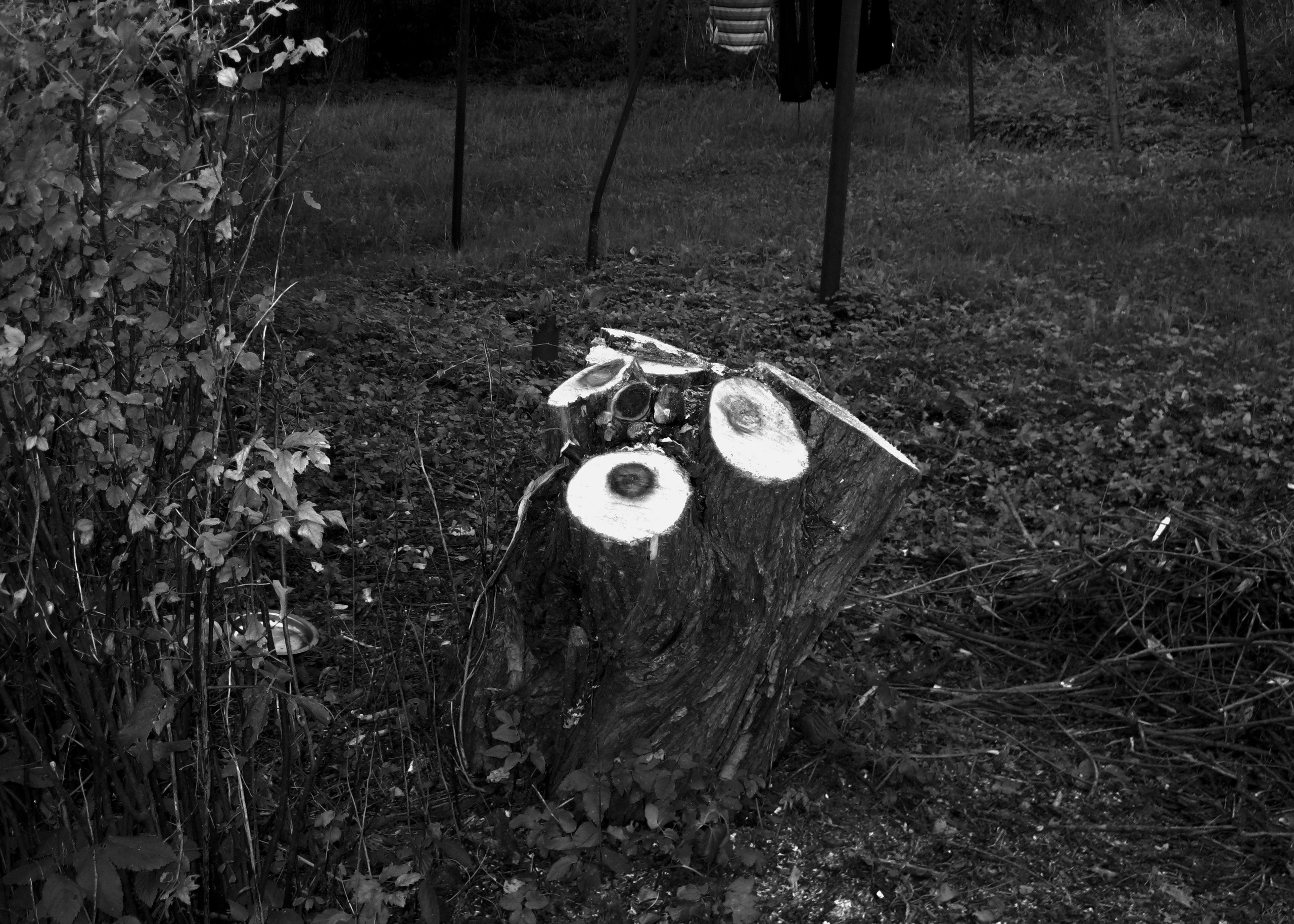 И вокруг меня. Портретный и концертный фотограф в Санкт-Петербурге Егор Телятников