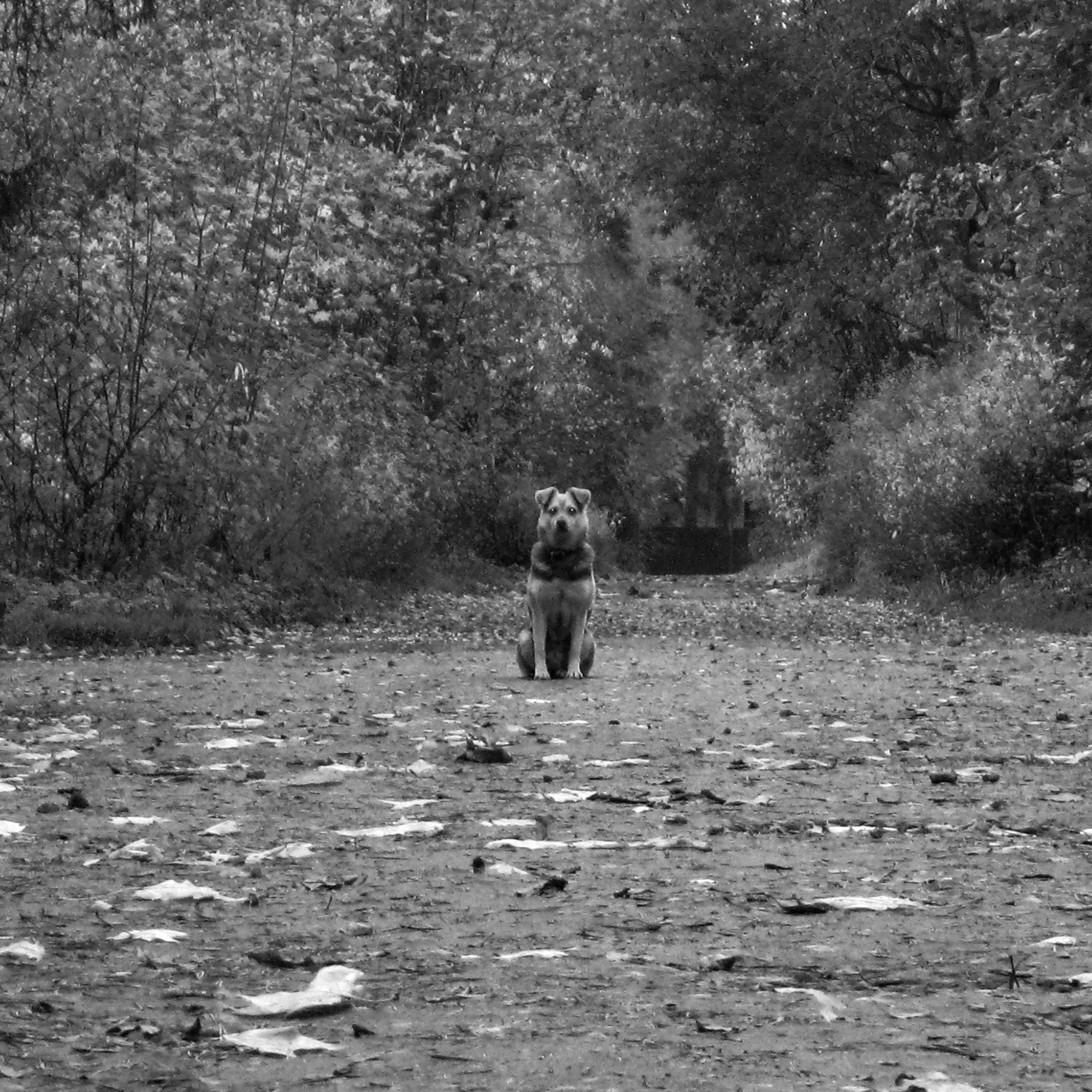 И вокруг меня. Портретный и концертный фотограф в Санкт-Петербурге Егор Телятников