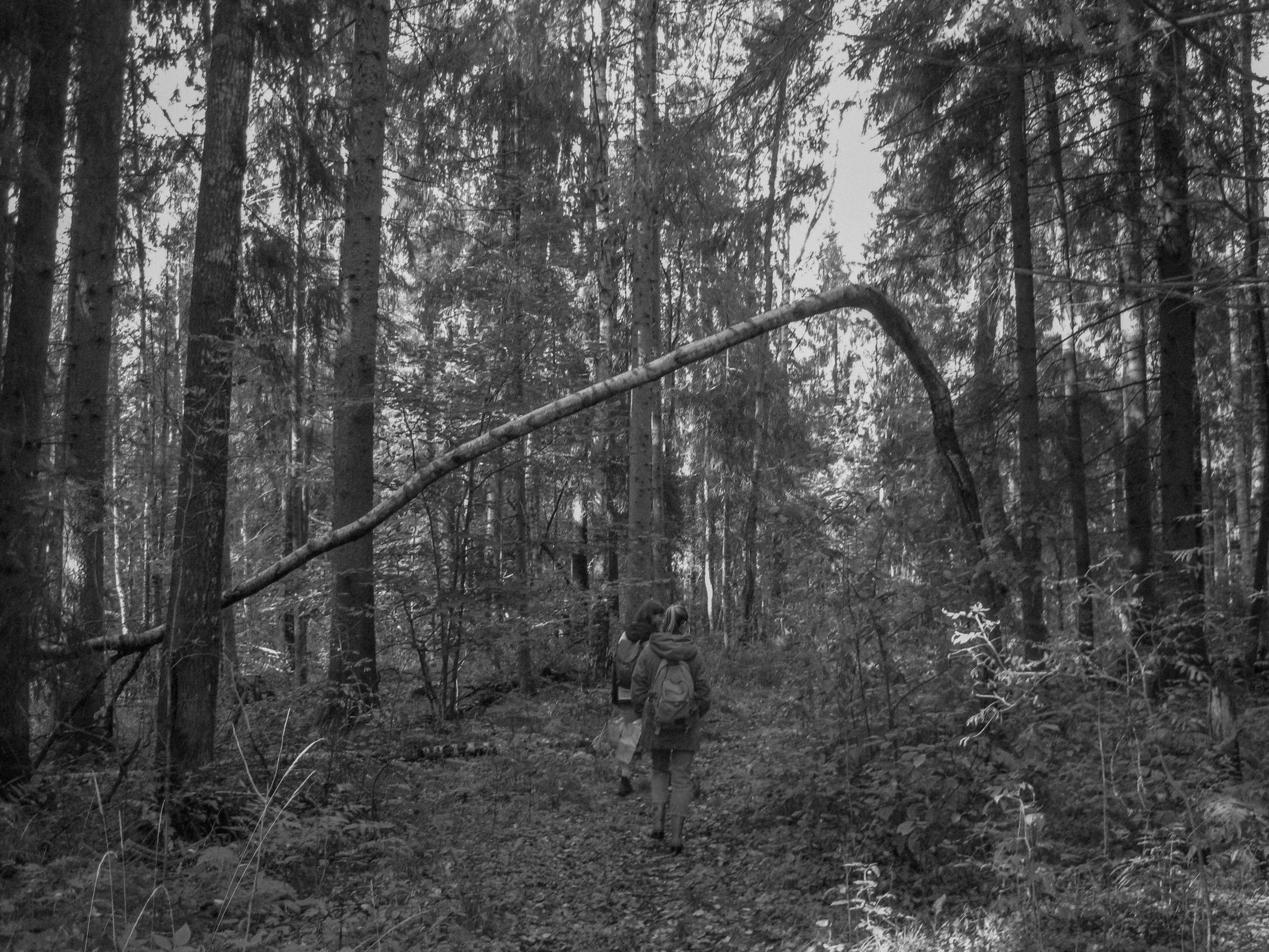 И вокруг меня. Портретный и концертный фотограф в Санкт-Петербурге Егор Телятников
