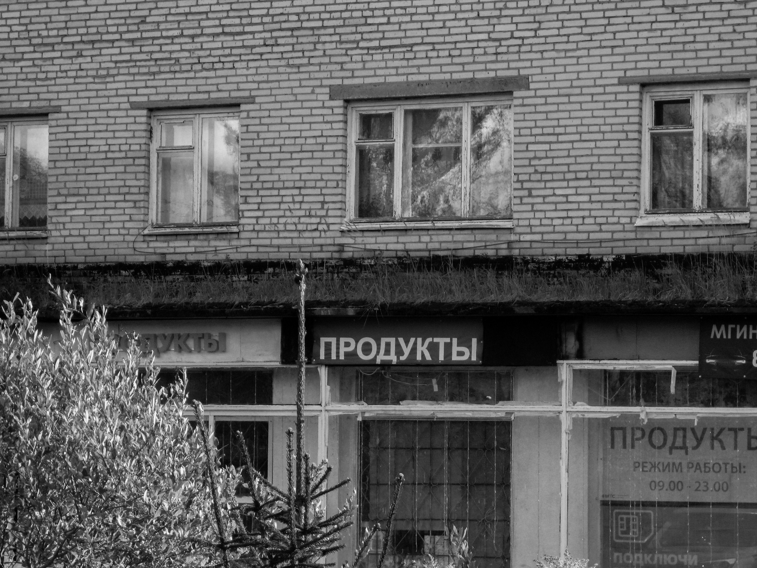 И вокруг меня. Портретный и концертный фотограф в Санкт-Петербурге Егор Телятников