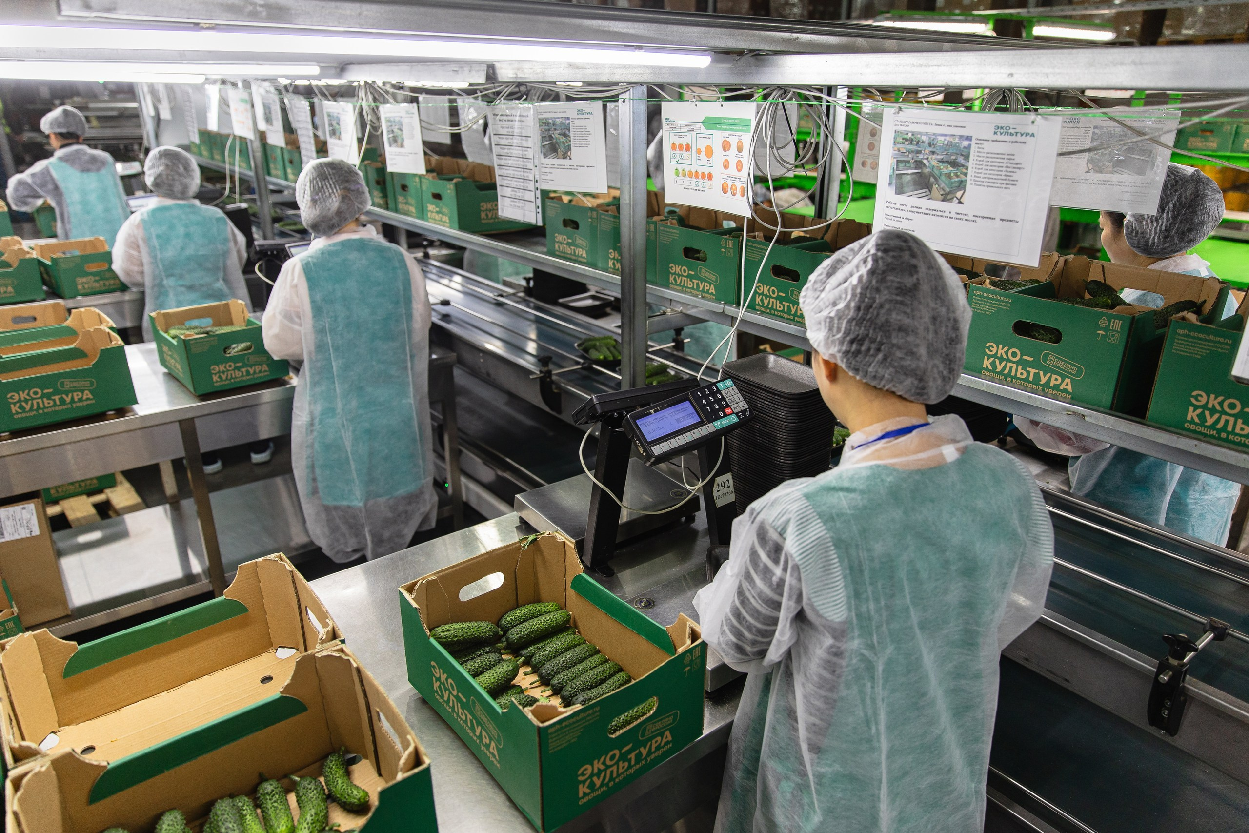 Производство. Фотограф Николай Петрушкин | Ставрополь, Москва