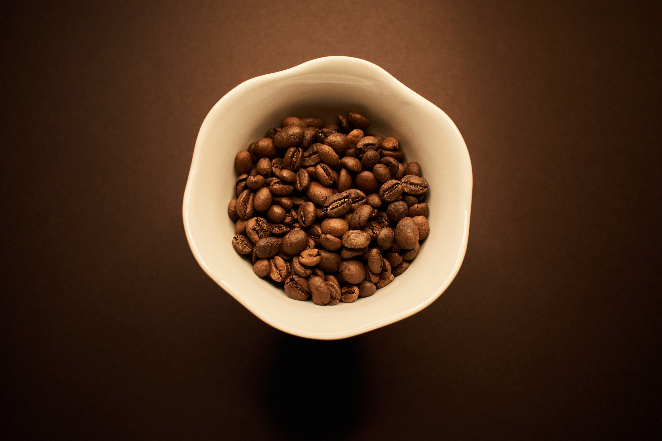 Кофейня. Фотограф в Спб Арина Чеглакова