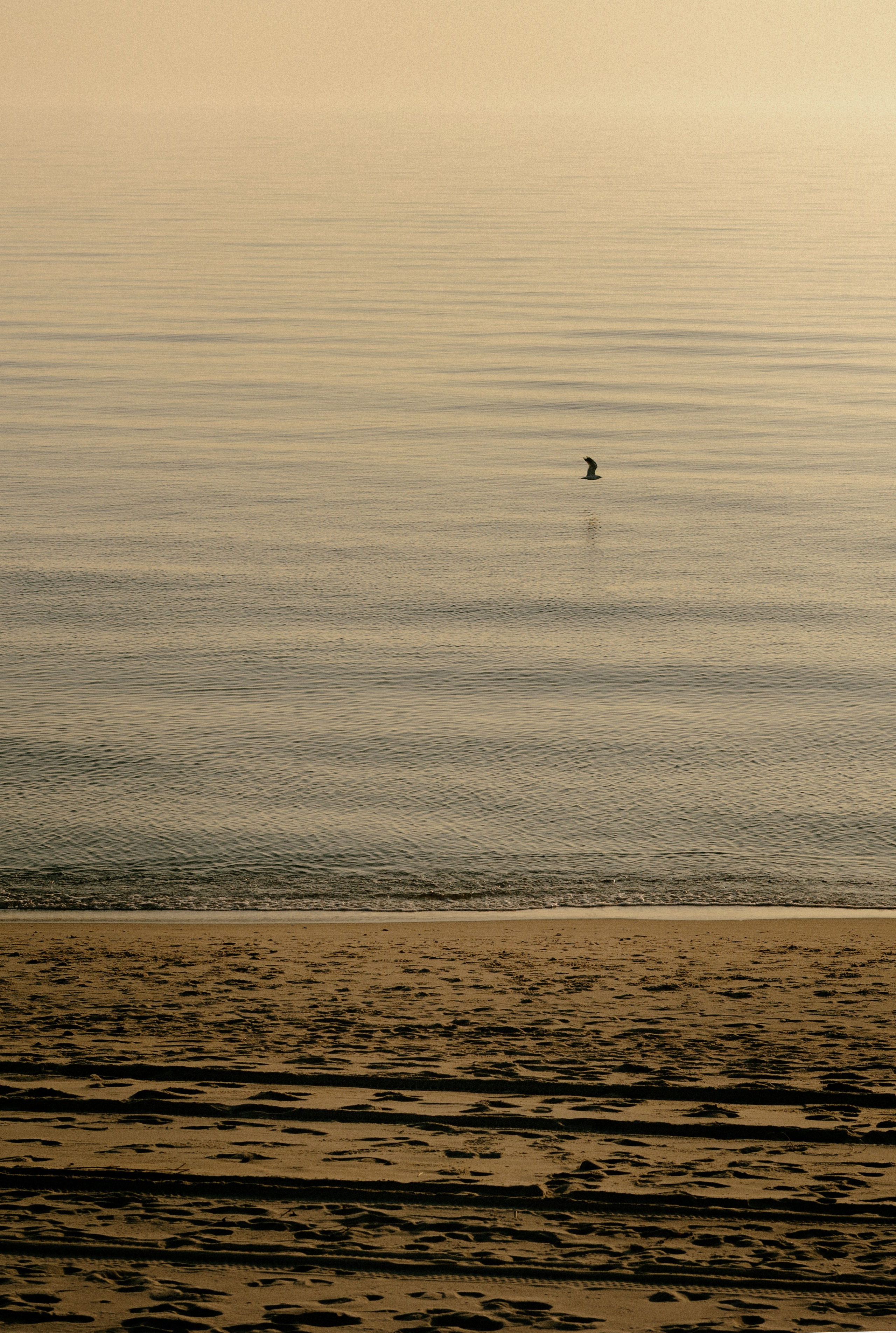 G&A. Свадебный и портретный фотограф в Калининграде и Москве Марк Юдинцев