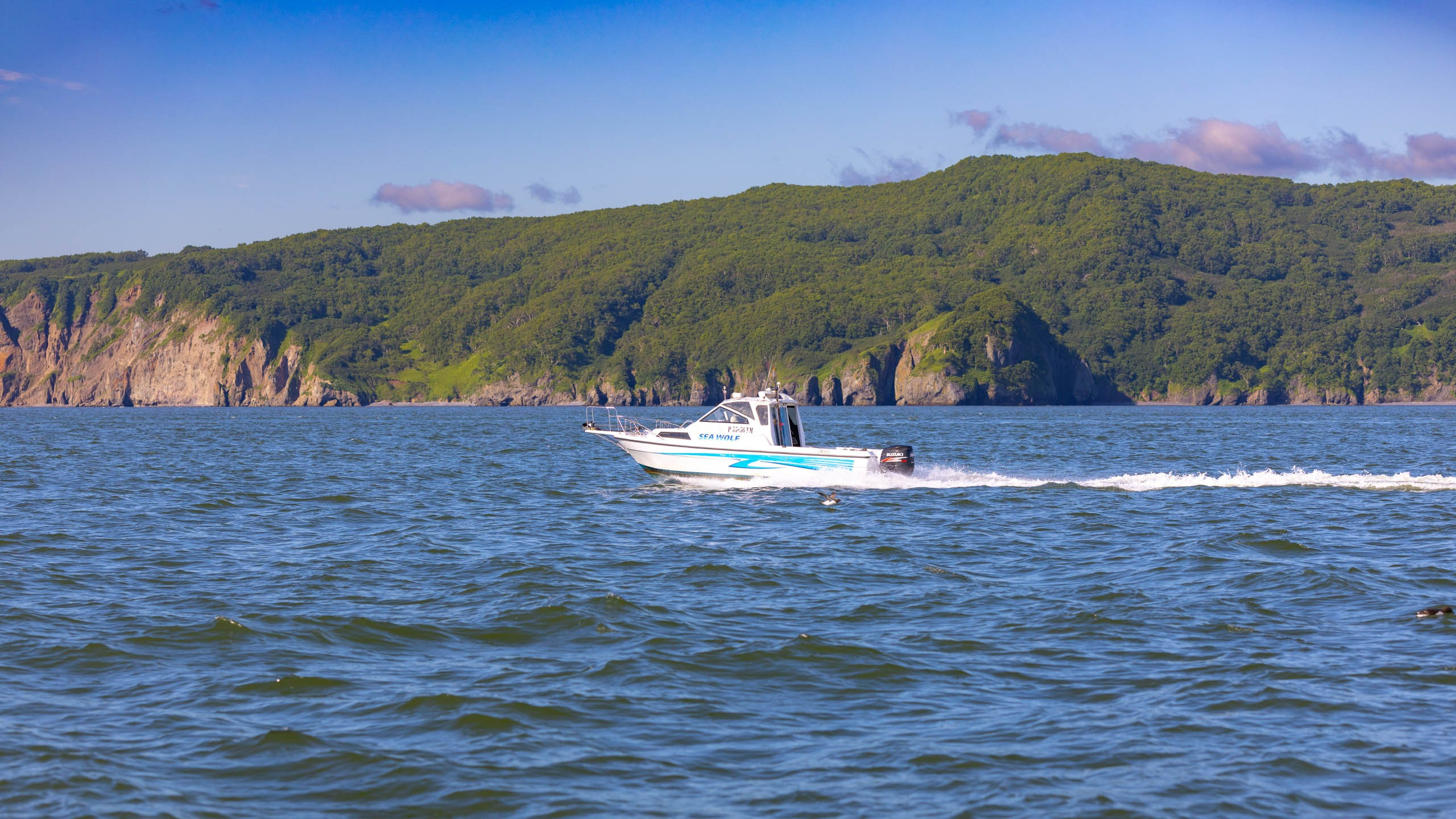 2023 07 Камчатка. Фотографии