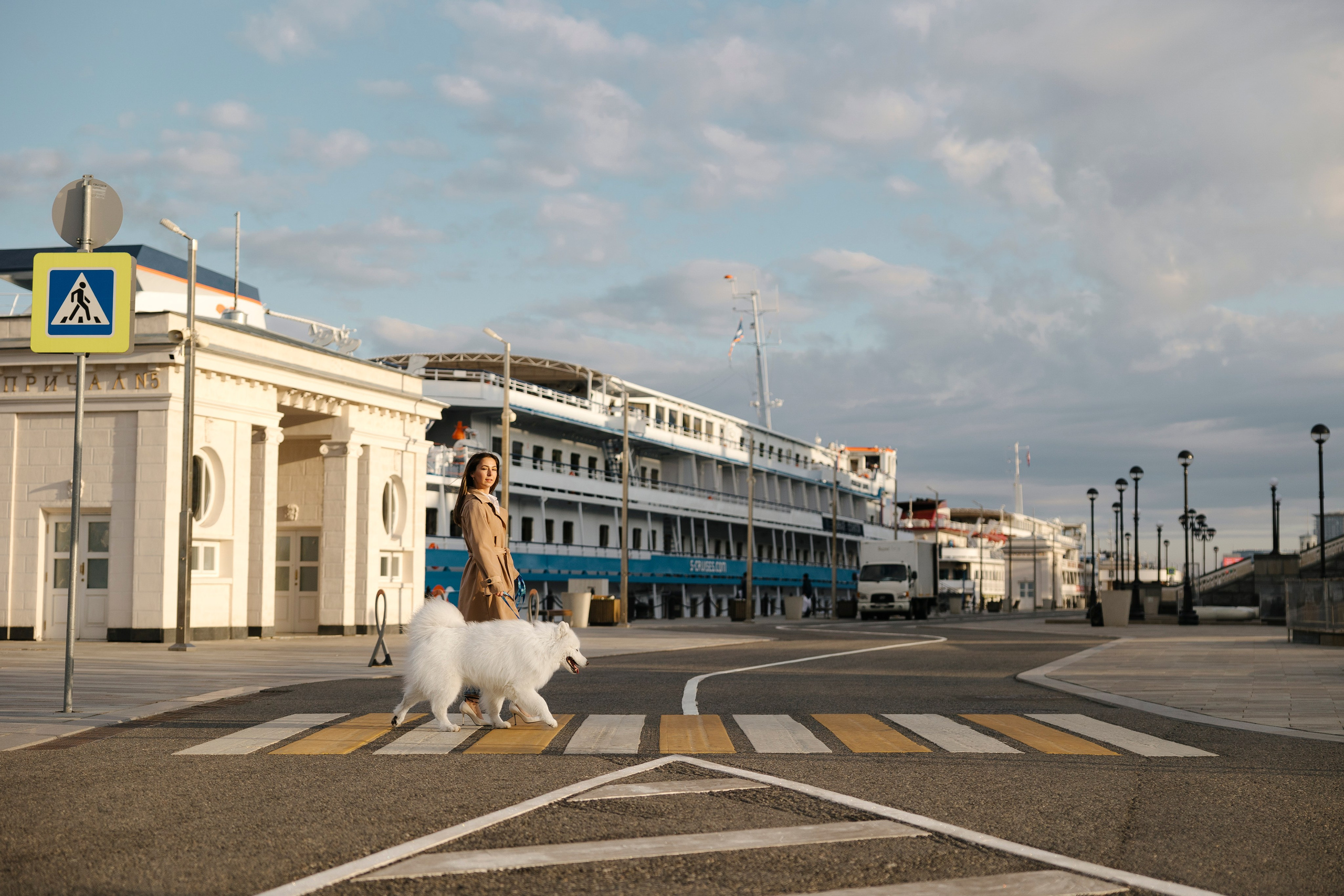 Ната, Панти, Речной Вокзал. Фотограф анималист в Москве Майорова Евгения
