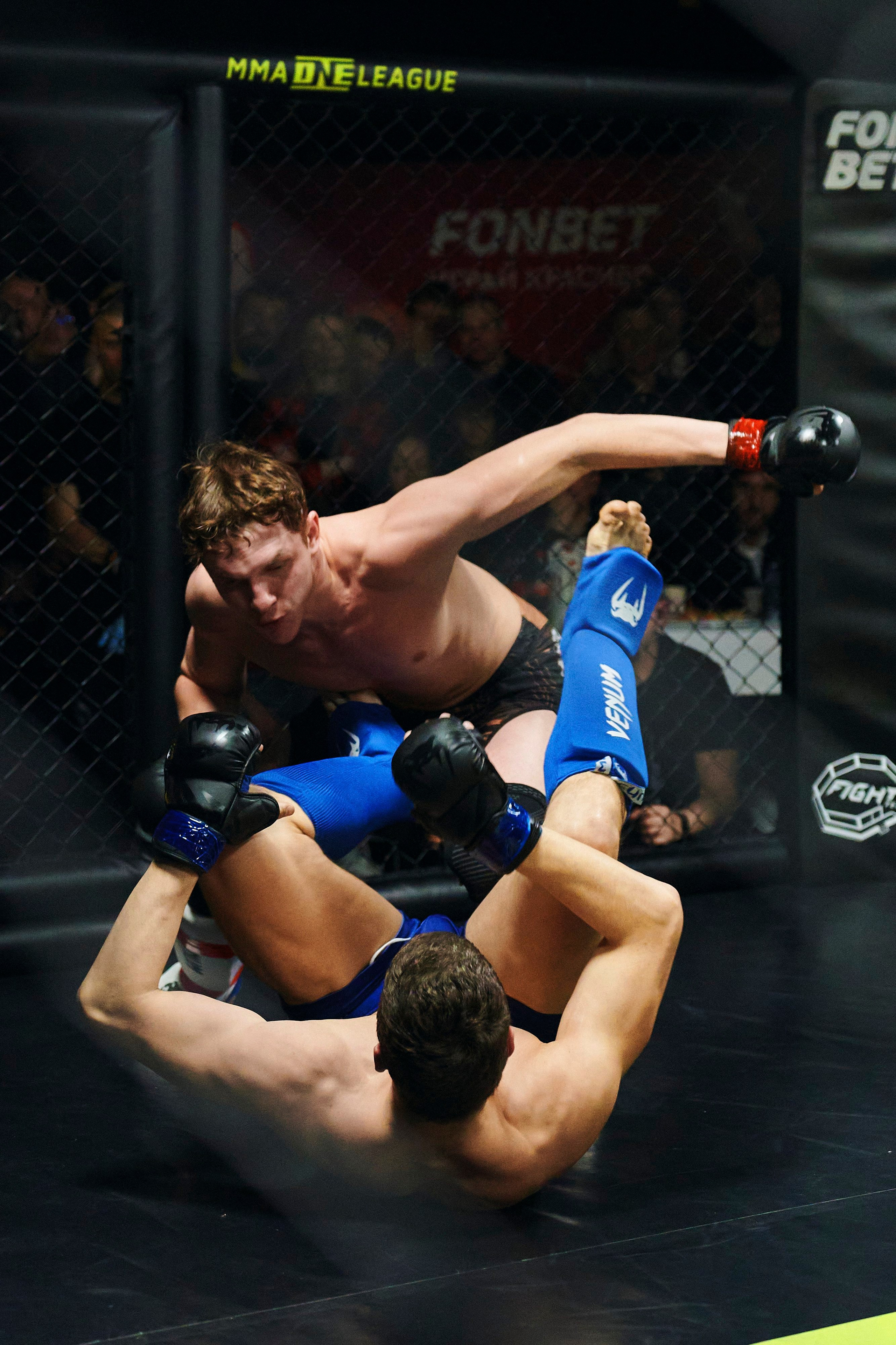 Единоборства. Главная