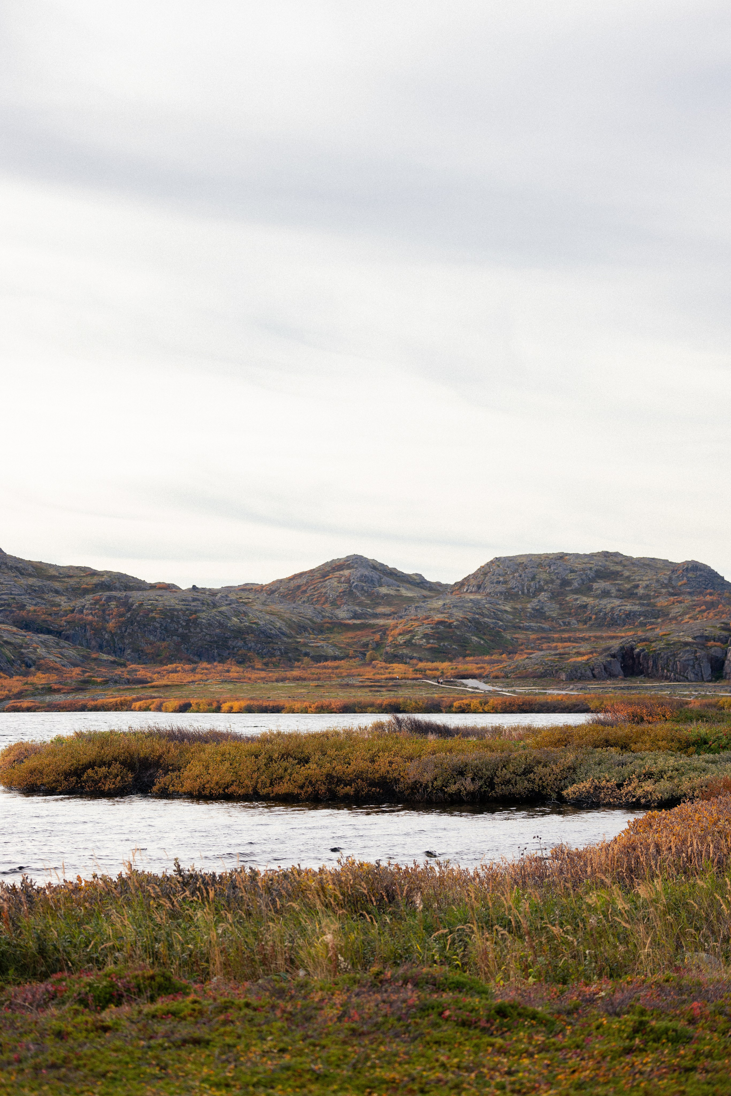 Кольский. Фотограф и видеограф анималист Аганина Дарья