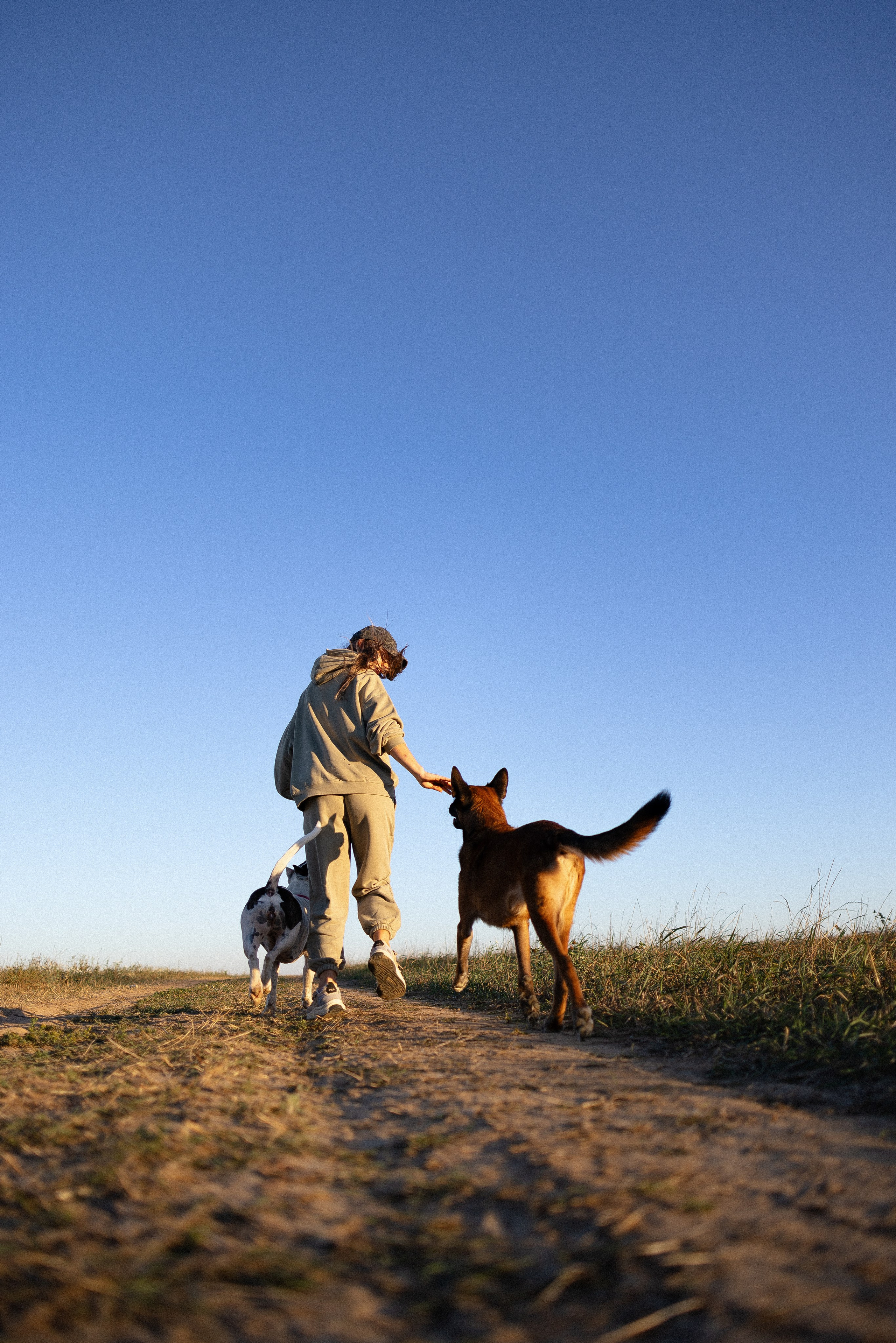 Женя, Афра и Молли. Фотограф и видеограф анималист Аганина Дарья