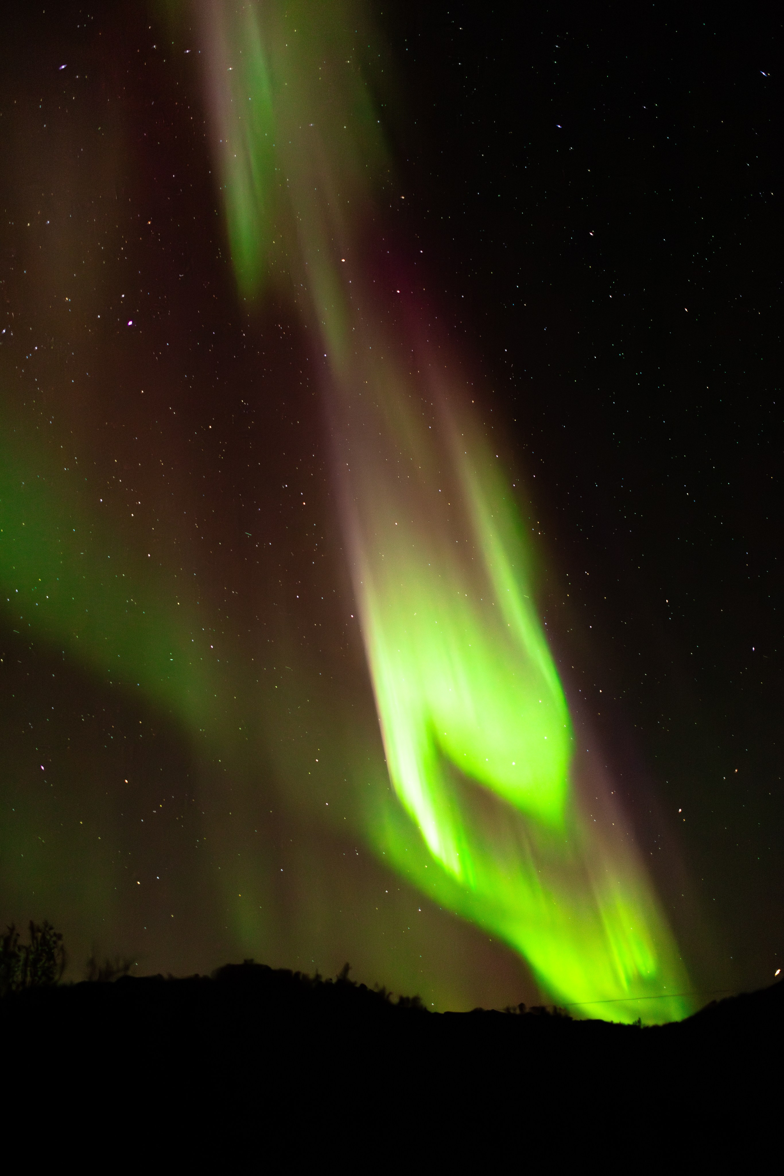 Кольский. Фотограф и видеограф анималист Аганина Дарья