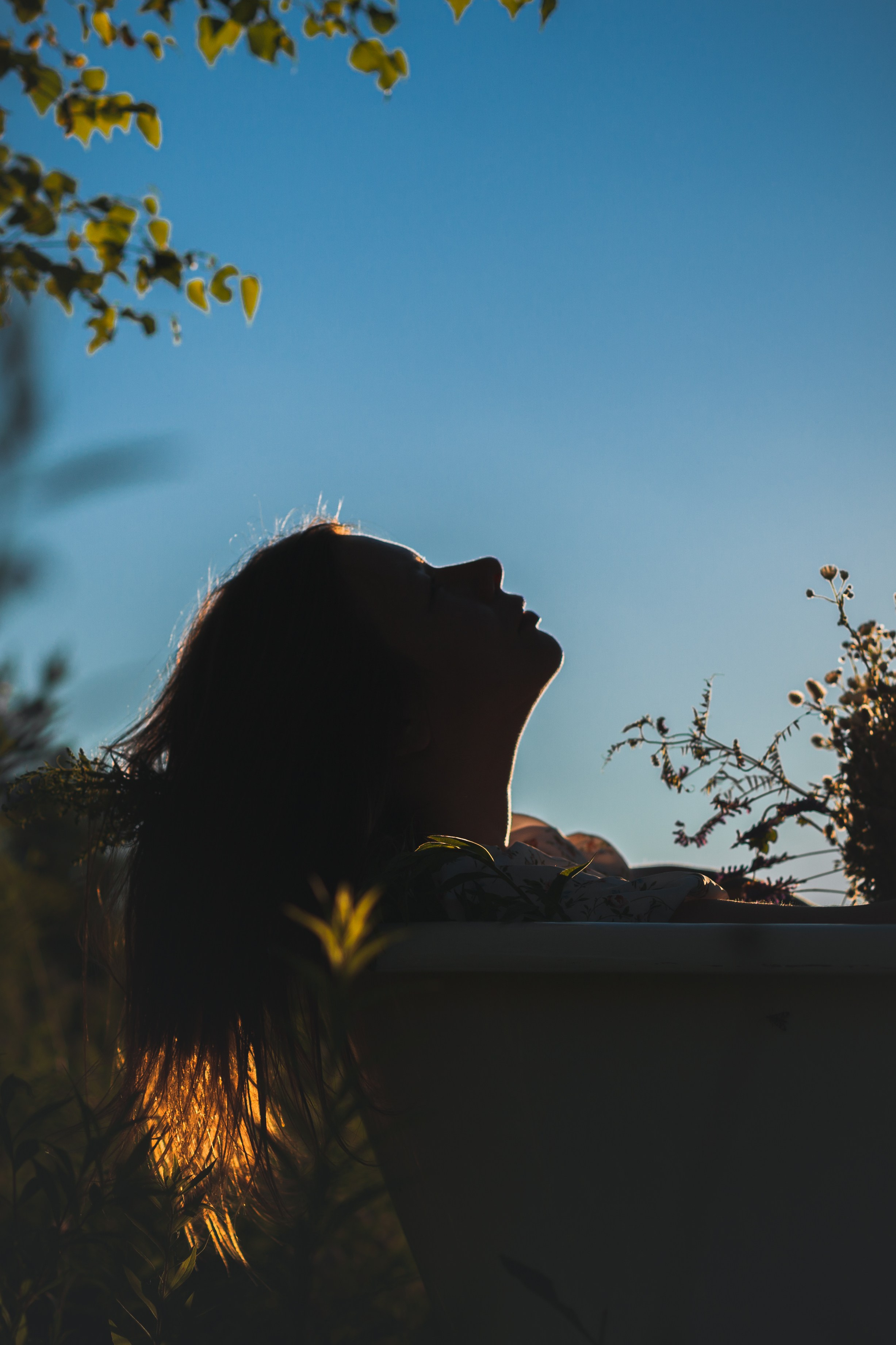 Ванна в поле. Фотограф-анималист Татьяна Степанова