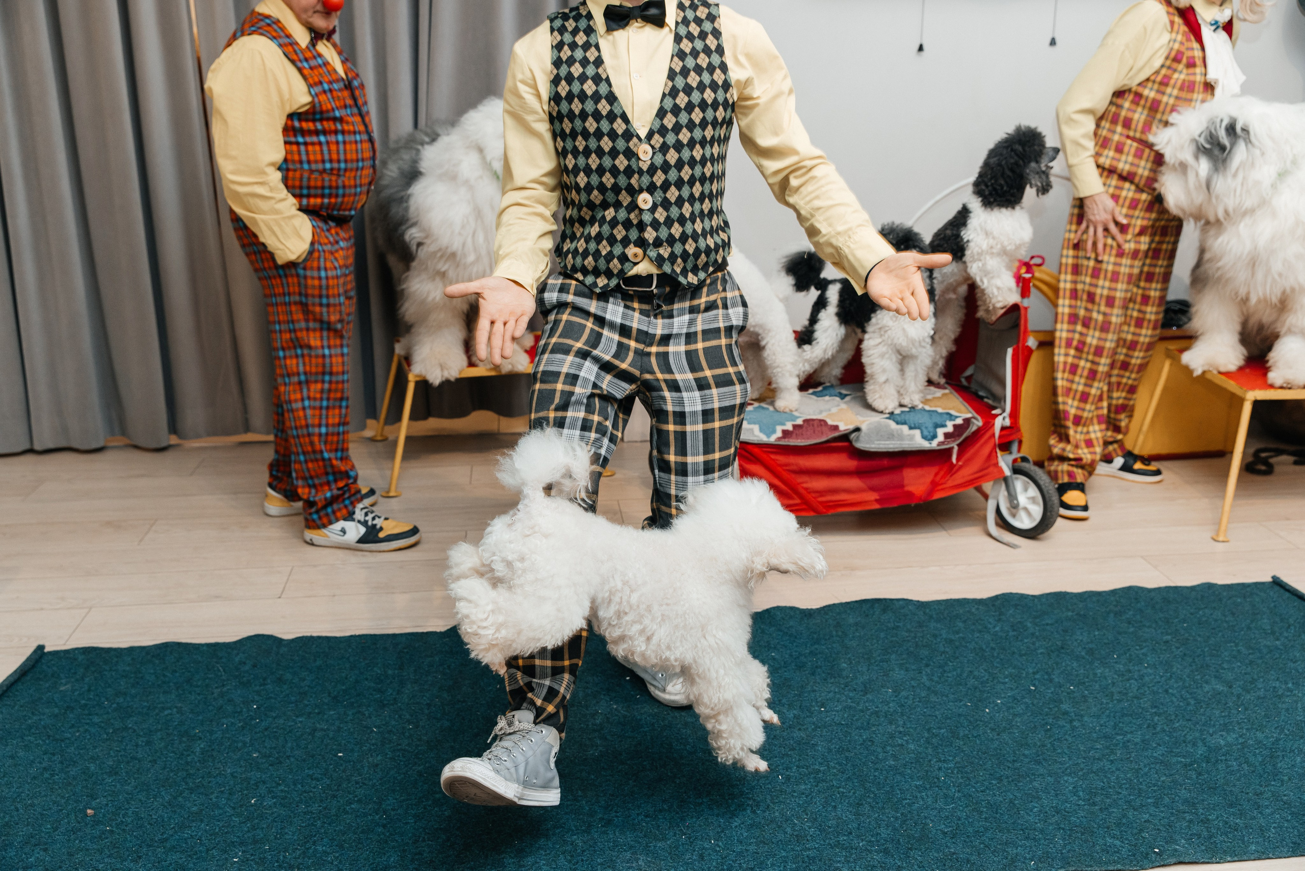 Даниил 4 года. Фотограф Москва Шептаев Артём