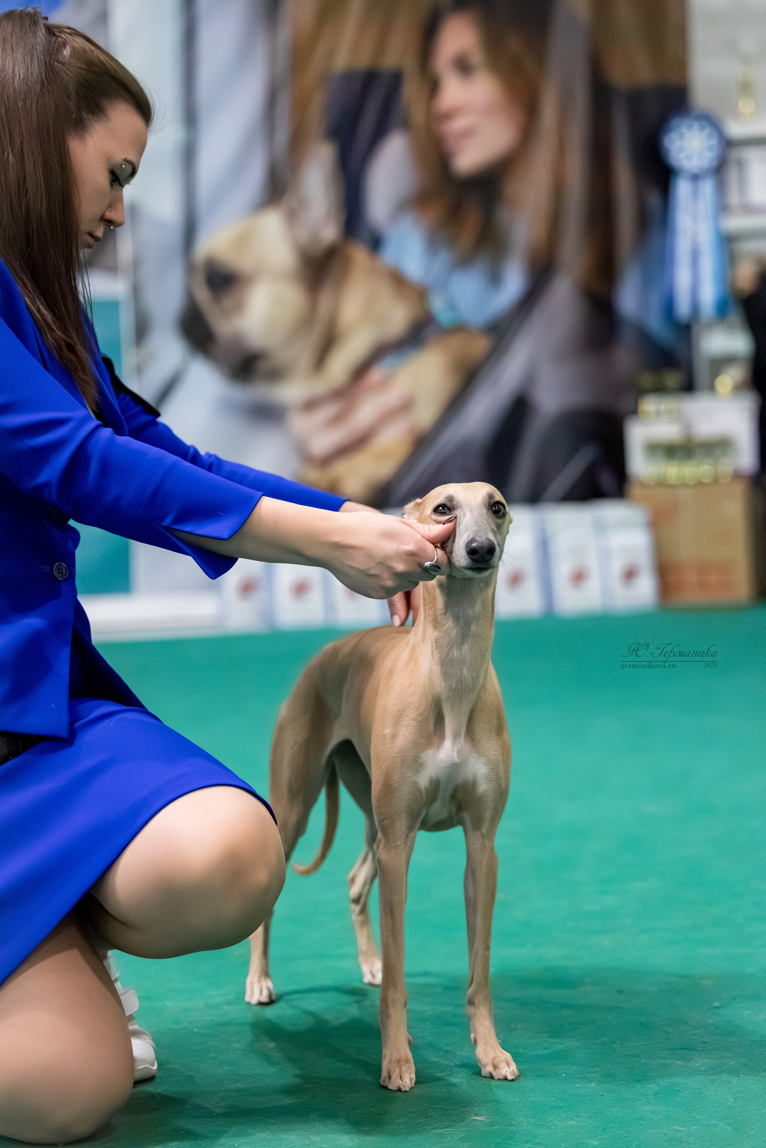 Крокус 21.12.2024,Сфера 29.12.2024. Фотограф-анималист Юлия Германика