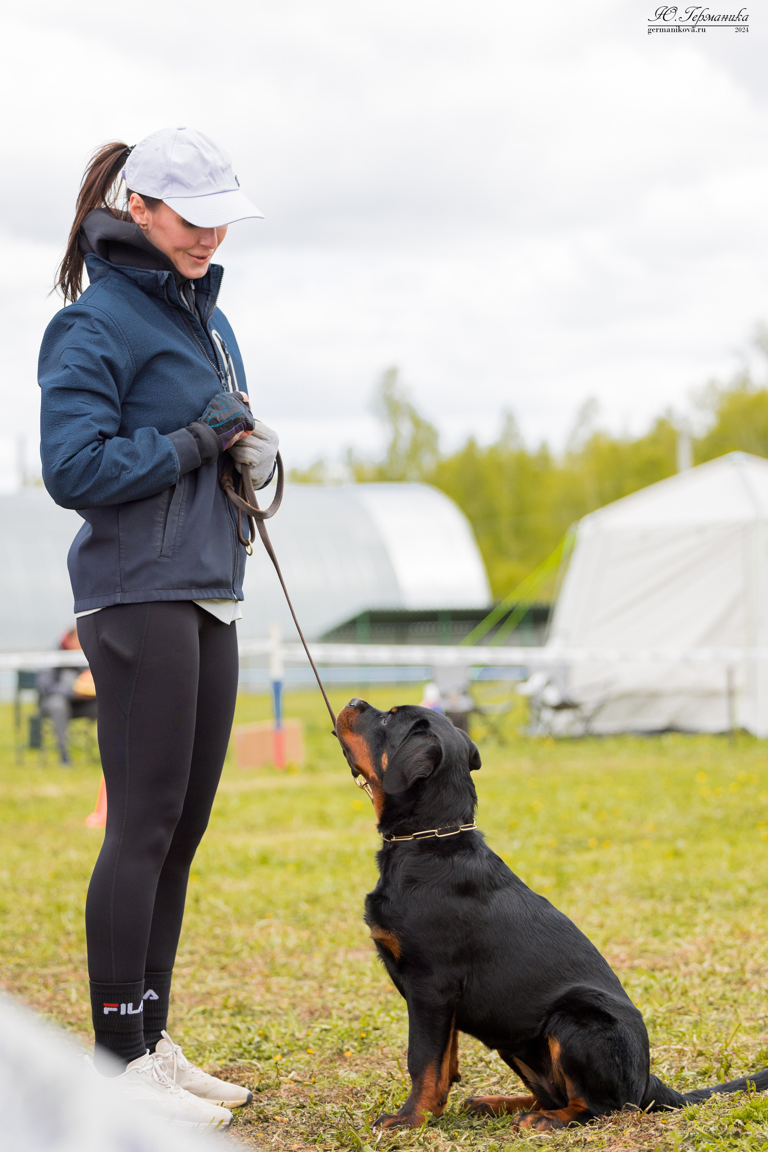 Нижний Новгород 11-12.05.2024 моно ротвейлеров. Фотограф-анималист Юлия Германика