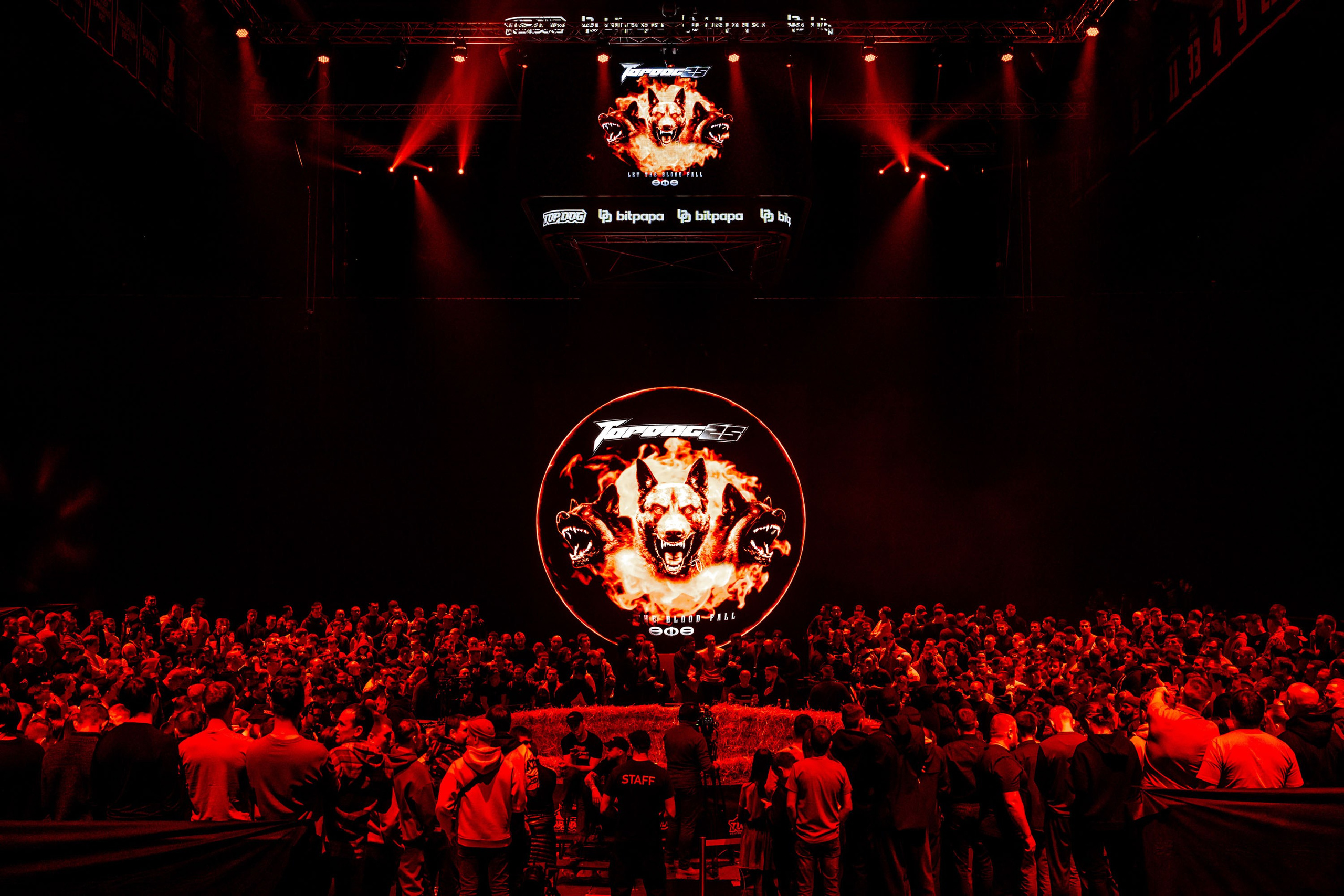 TOP DOG. Максим Комаров — Профессиональный фотограф