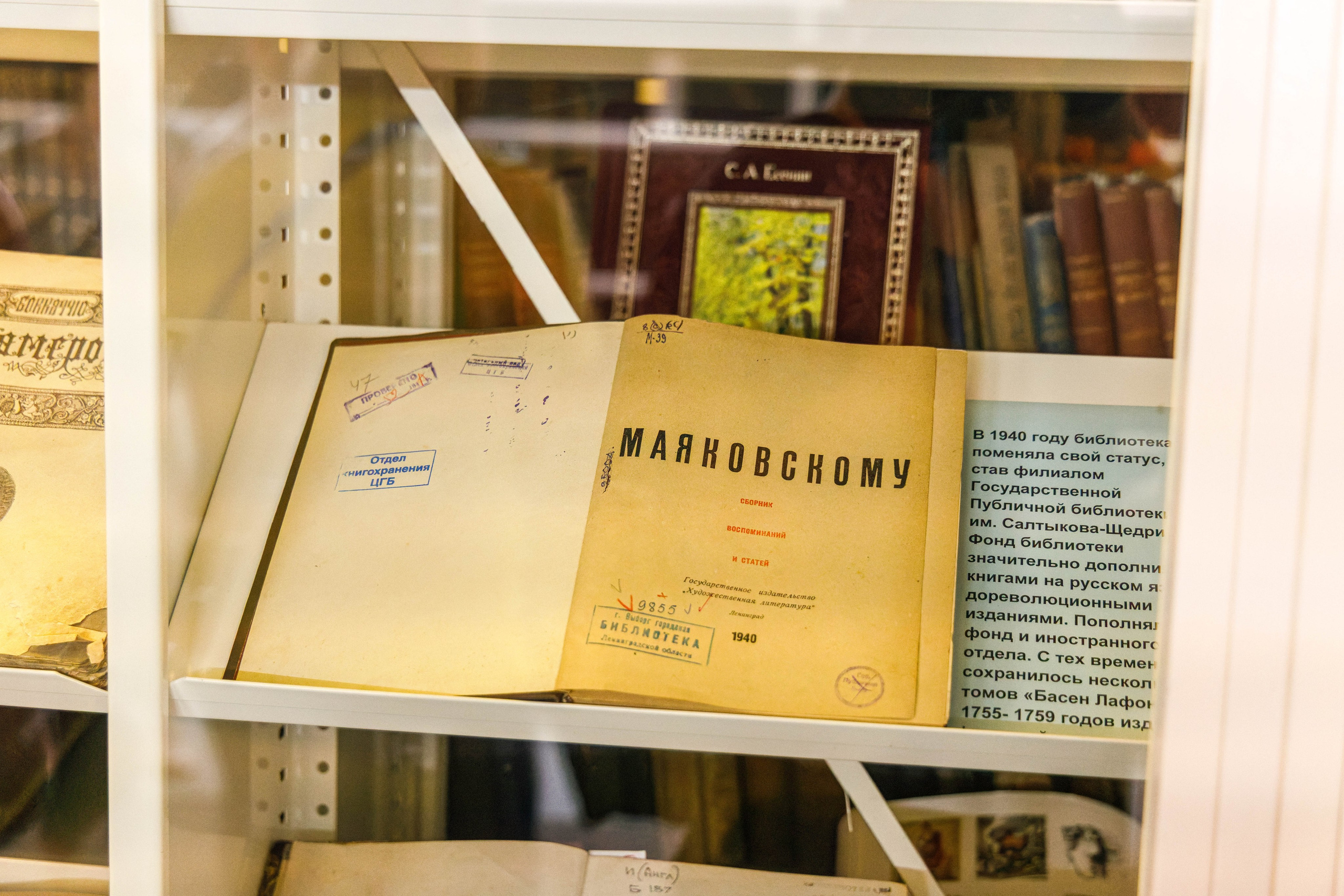 Центральная городская библиотека Алвара Аалто в Выборге. Фотограф Балаев Михаил