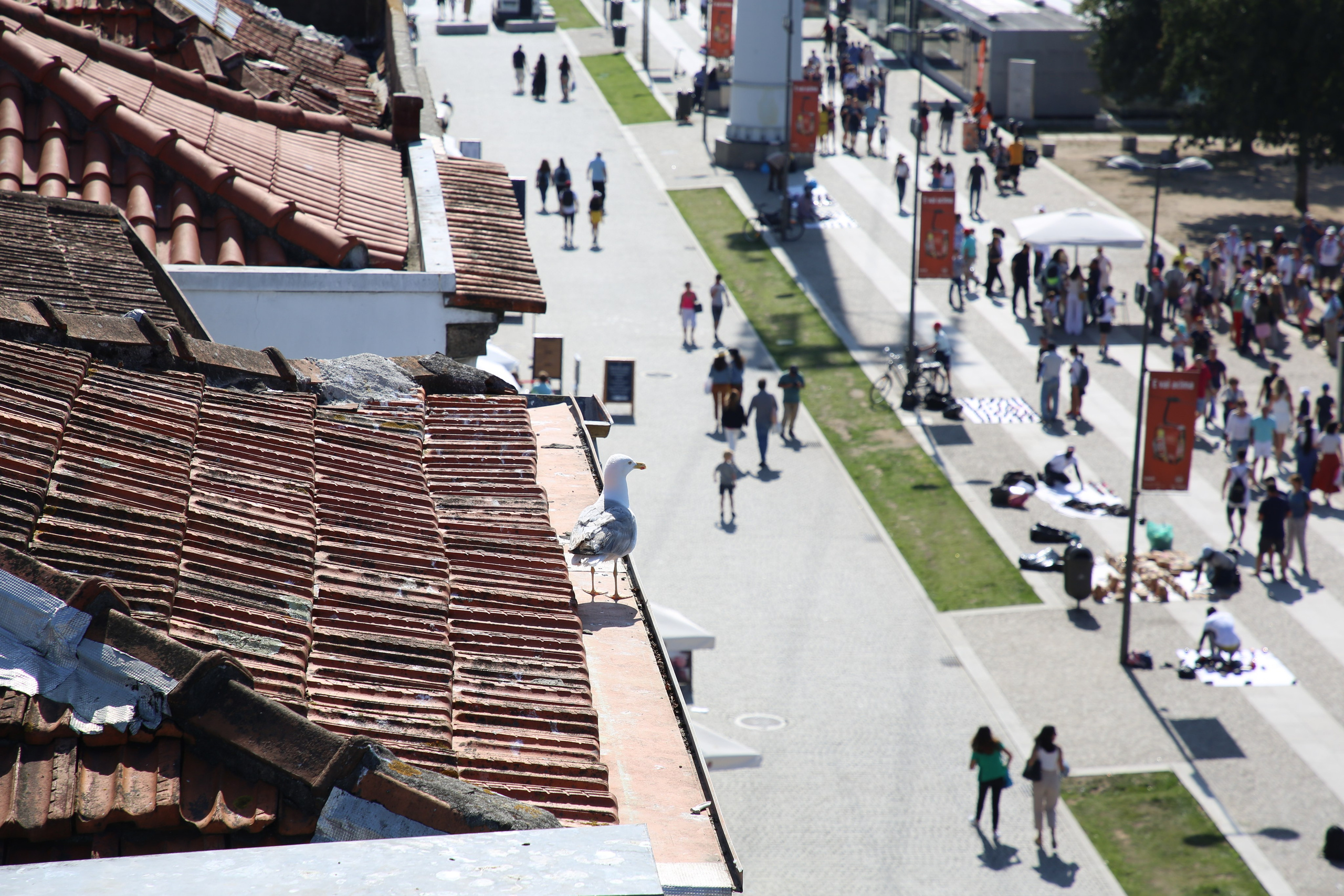 Porto, Portugal. Andrey Filippov Photographer