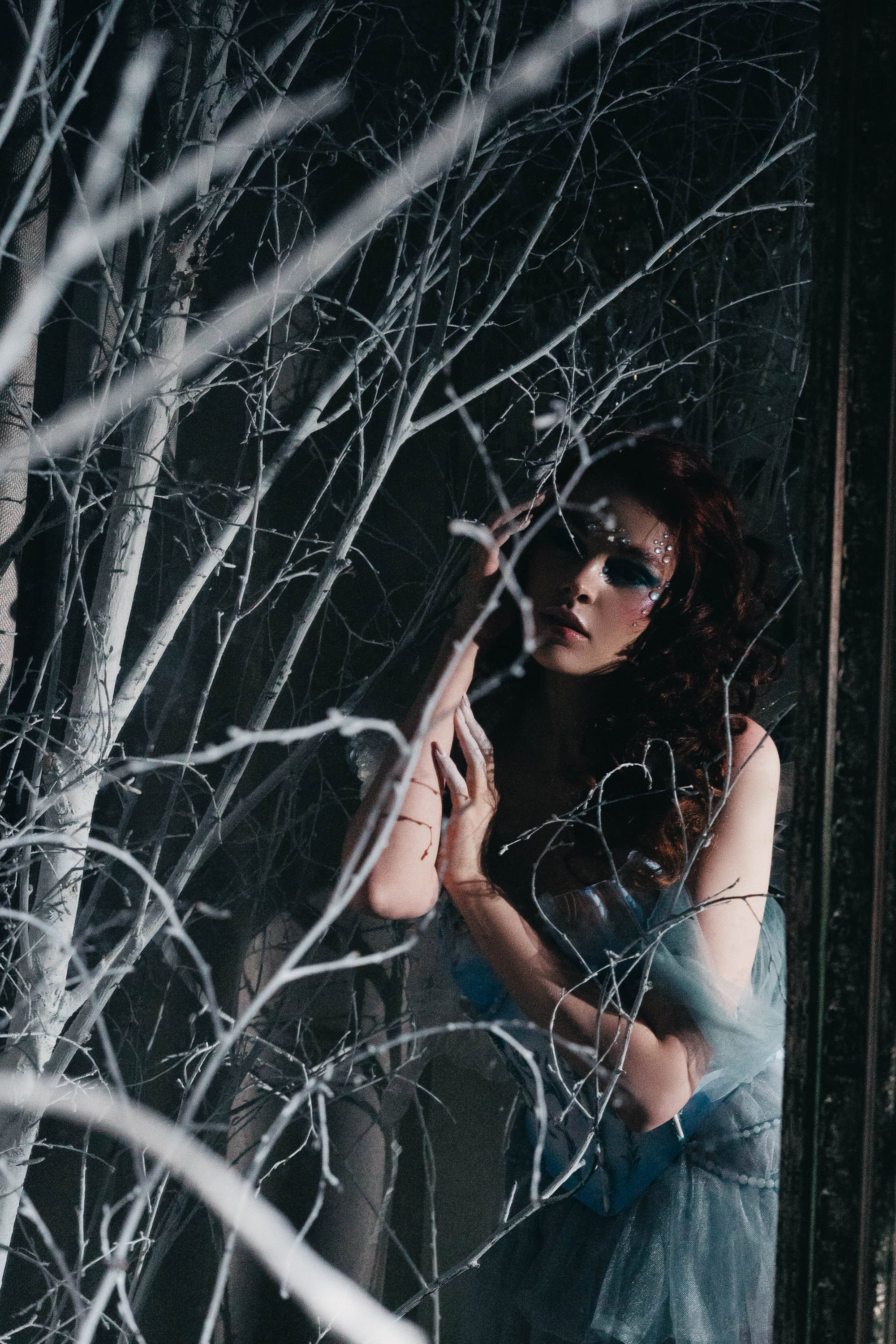 Фея зимы. Проект «Сны Синицы» — Волшебные фотосессии