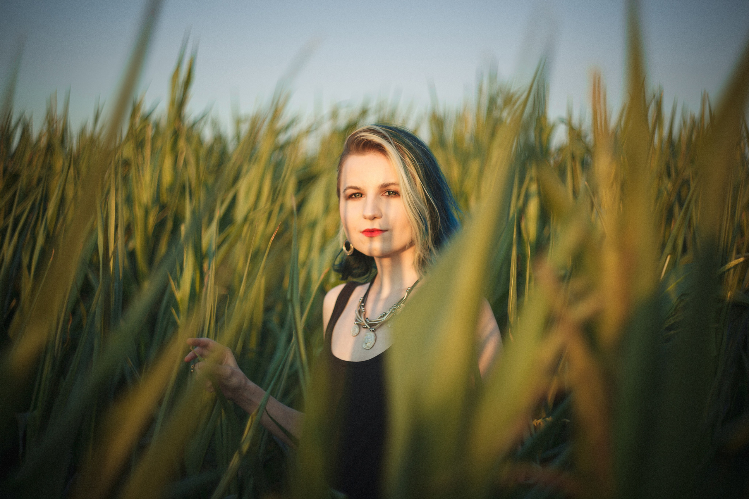 В кукурузе…. Стас Никоненко • Кинооператор • Фотограф