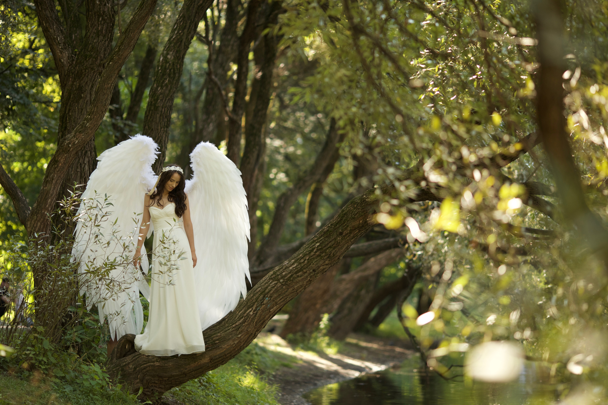 ВЗМАХ КРЫЛЬЕВ. Арт-фотограф в Москве Елена Иванова